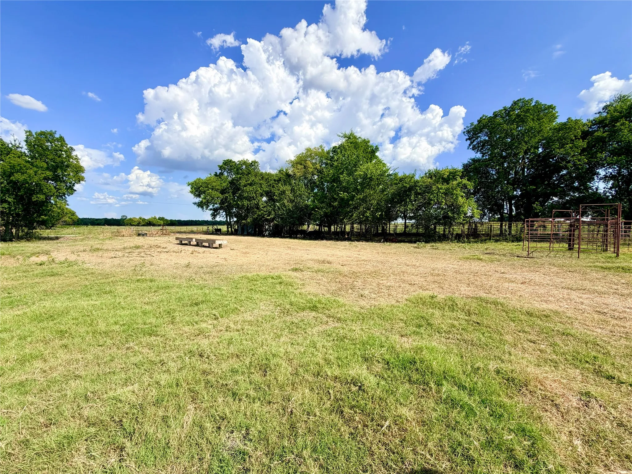 Expansive pastoral acreage featuring level terrain with mature tree lines along the perimeter, split-rail fencing, and a cleared central area ideal for equestrian or agricultural use