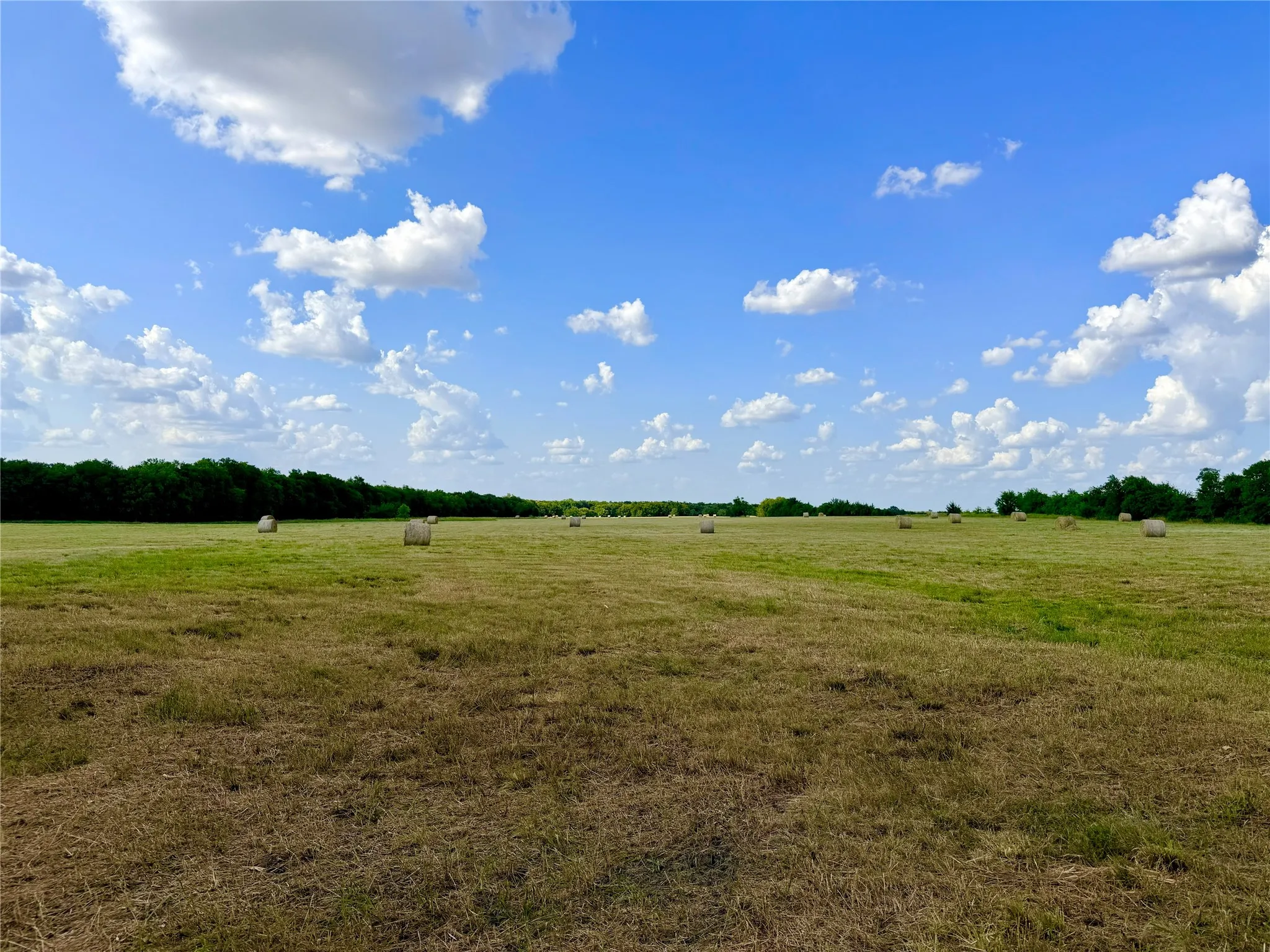 Expansive open field with green and brown grasses, bordered by a line of mature trees