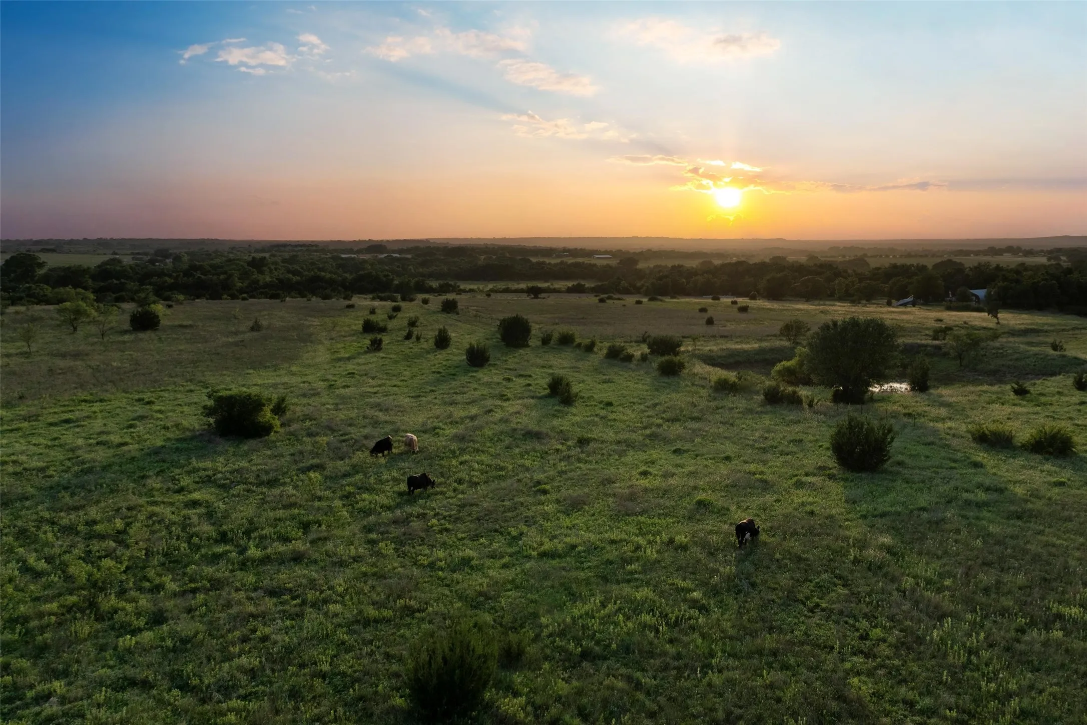 Farm For Sale in Hood County , 15313 Margarita Court, Lipan, Texas 76462, 5 Bedroom, 7 Bathroom, 4 Garage spaces, 6,106 Sqft, built in 2021, mls#21397884, Real Estate Agent in Lipan, Homes For Sale in Hood county, Homes For Sale in Lipan, Realtor in Lipan Texas, Real Estate Brokerage Independent Realty Texas, Luminita Cordes Realtor