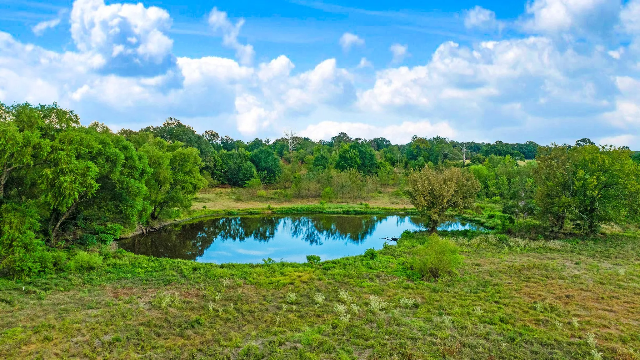 Improved Land For Sale in Lamar County , 1713 County Road 43500, Paris, Texas 75462, 0, 0, Garage spaces, 0 Sqft, built in 2015, mls#21397671, Real Estate Agent in Paris, Homes For Sale in Lamar county, Homes For Sale in Paris, Realtor in Paris Texas, Real Estate Brokerage Independent Realty Texas, Luminita Cordes Realtor