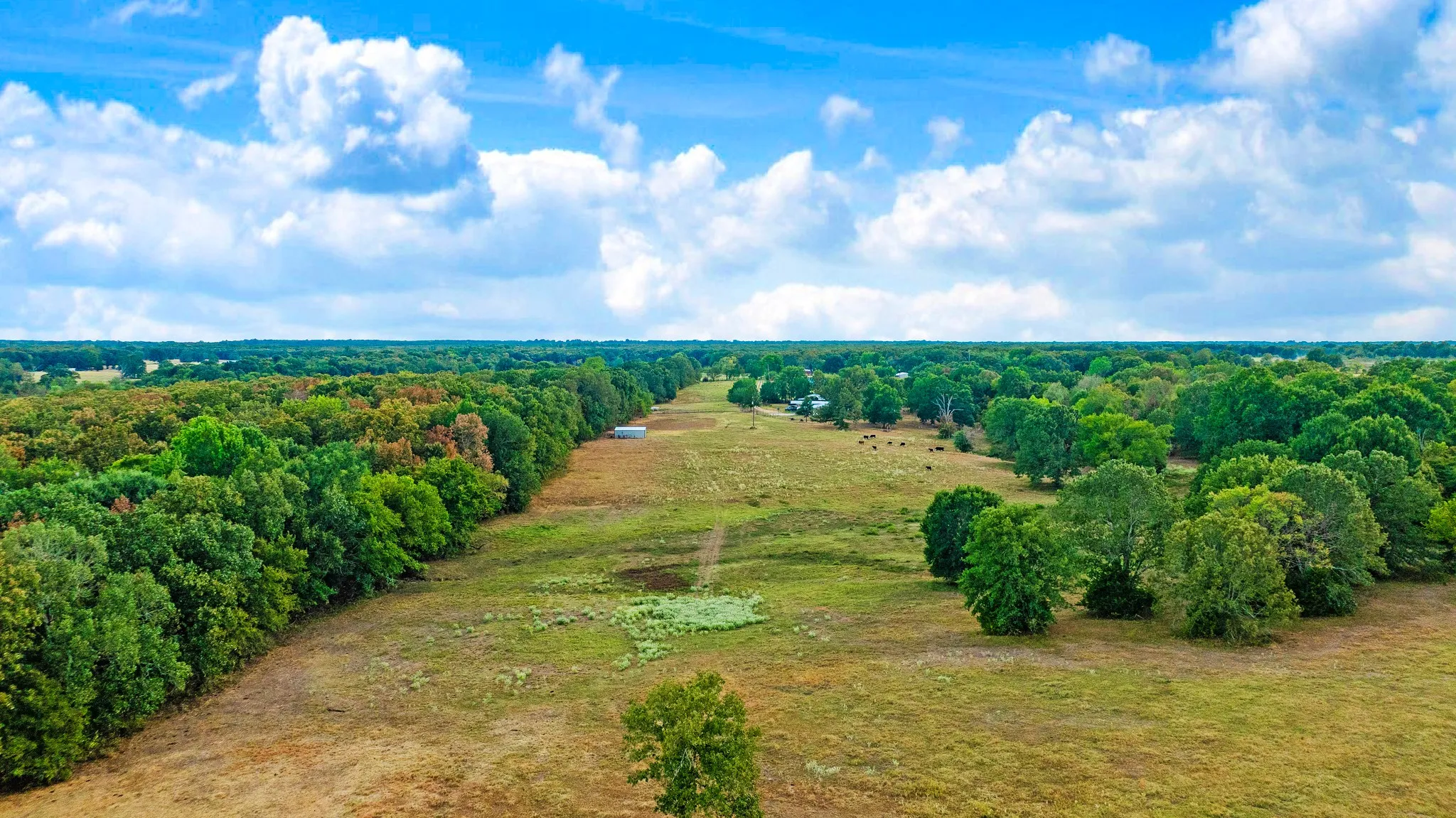 Improved Land For Sale in Lamar County , 1713 County Road 43500, Paris, Texas 75462, 0, 0, Garage spaces, 0 Sqft, built in 2015, mls#21397671, Real Estate Agent in Paris, Homes For Sale in Lamar county, Homes For Sale in Paris, Realtor in Paris Texas, Real Estate Brokerage Independent Realty Texas, Luminita Cordes Realtor