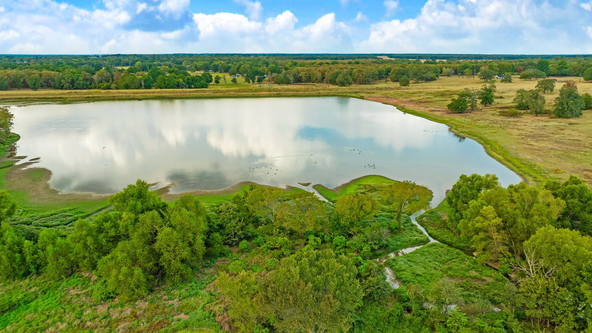 Improved Land For Sale in Lamar County , 1713 County Road 43500, Paris, Texas 75462, 0, 0, Garage spaces, 0 Sqft, built in 2015, mls#21397671, Real Estate Agent in Paris, Homes For Sale in Lamar county, Homes For Sale in Paris, Realtor in Paris Texas, Real Estate Brokerage Independent Realty Texas, Luminita Cordes Realtor