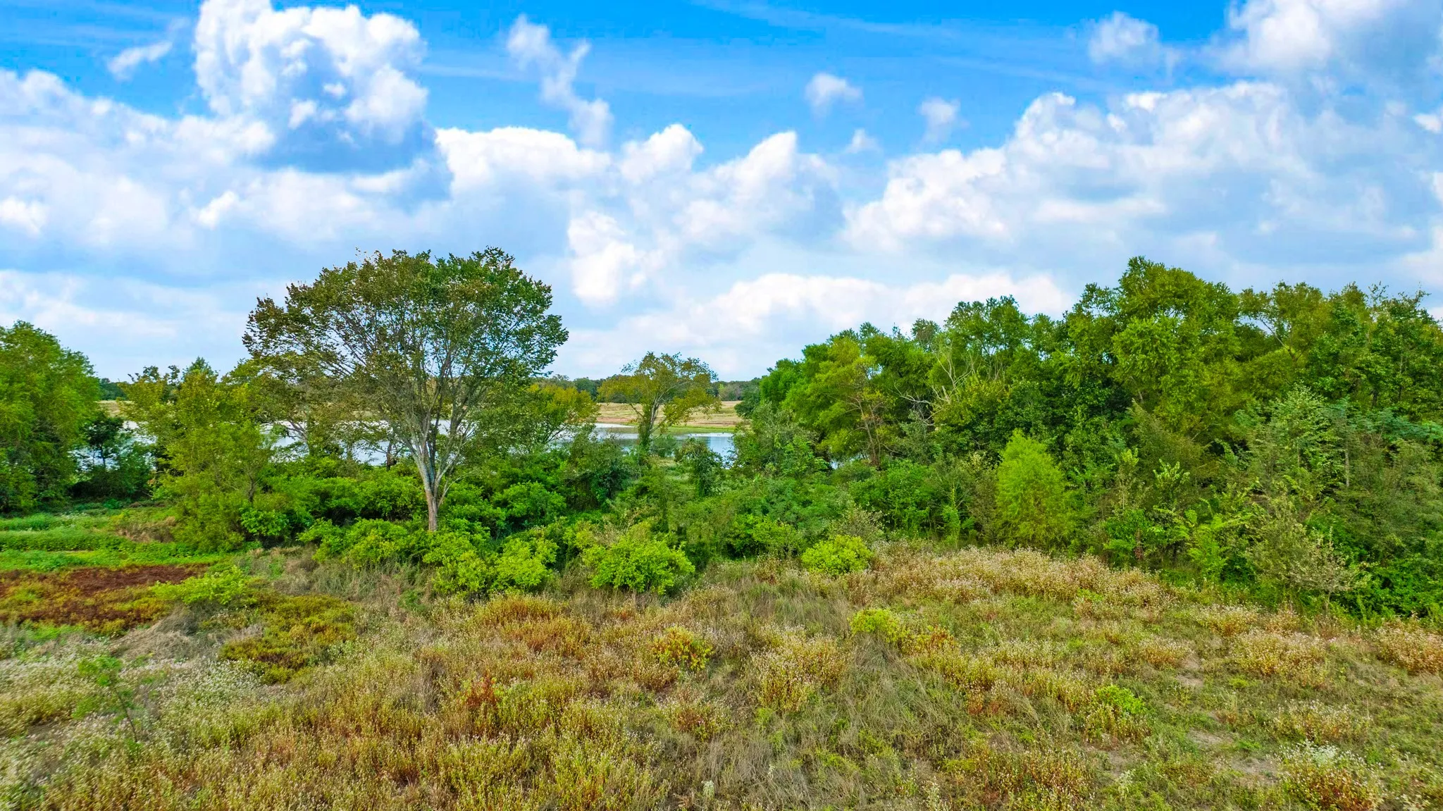 Improved Land For Sale in Lamar County , 1713 County Road 43500, Paris, Texas 75462, 0, 0, Garage spaces, 0 Sqft, built in 2015, mls#21397671, Real Estate Agent in Paris, Homes For Sale in Lamar county, Homes For Sale in Paris, Realtor in Paris Texas, Real Estate Brokerage Independent Realty Texas, Luminita Cordes Realtor