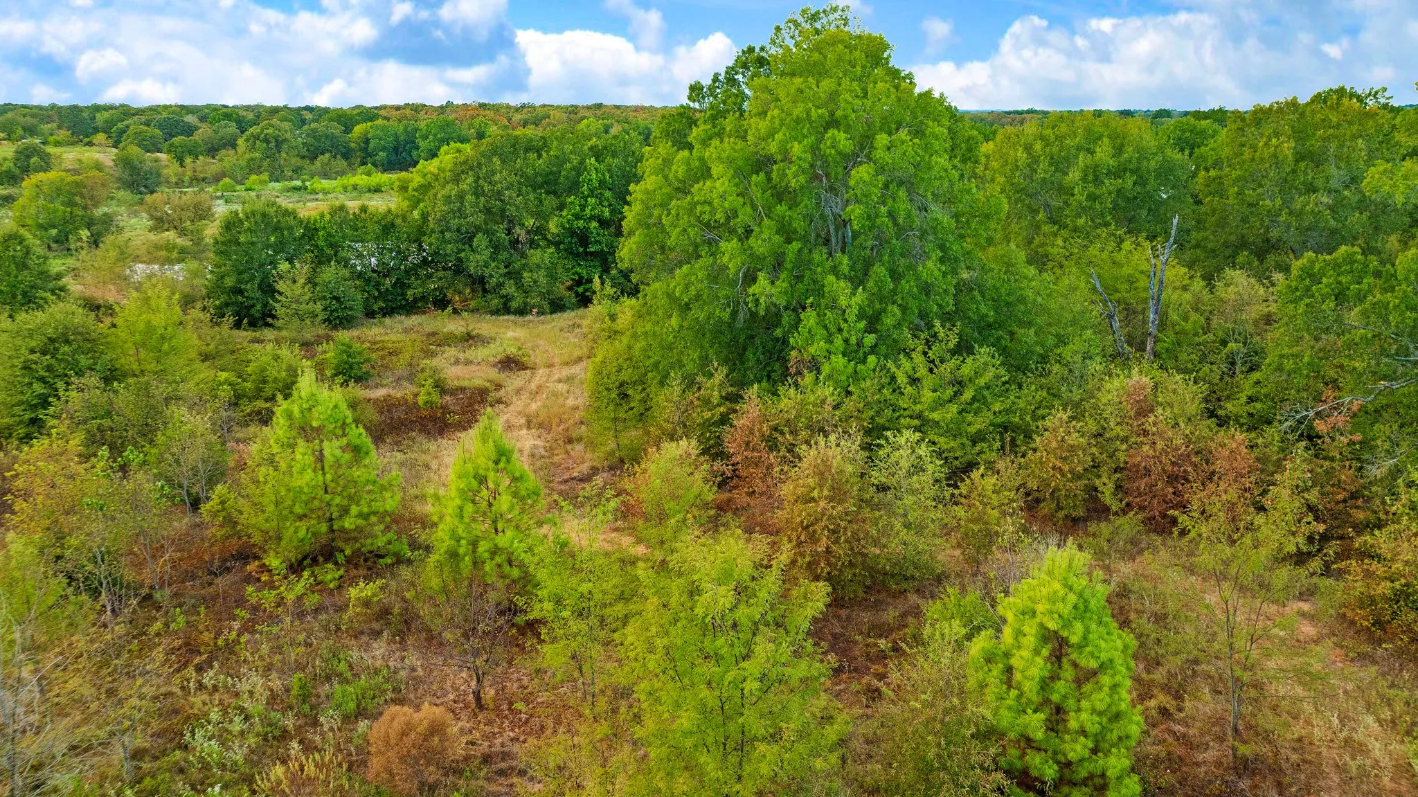 Improved Land For Sale in Lamar County , 1713 County Road 43500, Paris, Texas 75462, 0, 0, Garage spaces, 0 Sqft, built in 2015, mls#21397671, Real Estate Agent in Paris, Homes For Sale in Lamar county, Homes For Sale in Paris, Realtor in Paris Texas, Real Estate Brokerage Independent Realty Texas, Luminita Cordes Realtor