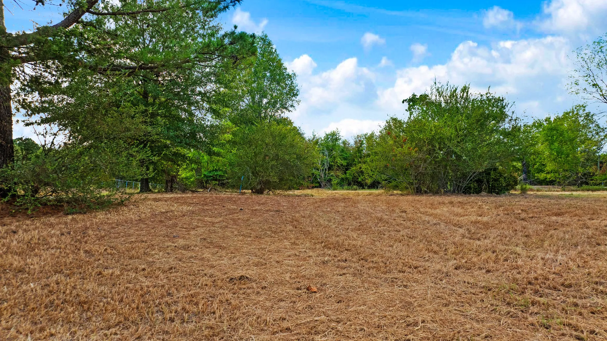 Improved Land For Sale in Lamar County , 1713 County Road 43500, Paris, Texas 75462, 0, 0, Garage spaces, 0 Sqft, built in 2015, mls#21397671, Real Estate Agent in Paris, Homes For Sale in Lamar county, Homes For Sale in Paris, Realtor in Paris Texas, Real Estate Brokerage Independent Realty Texas, Luminita Cordes Realtor