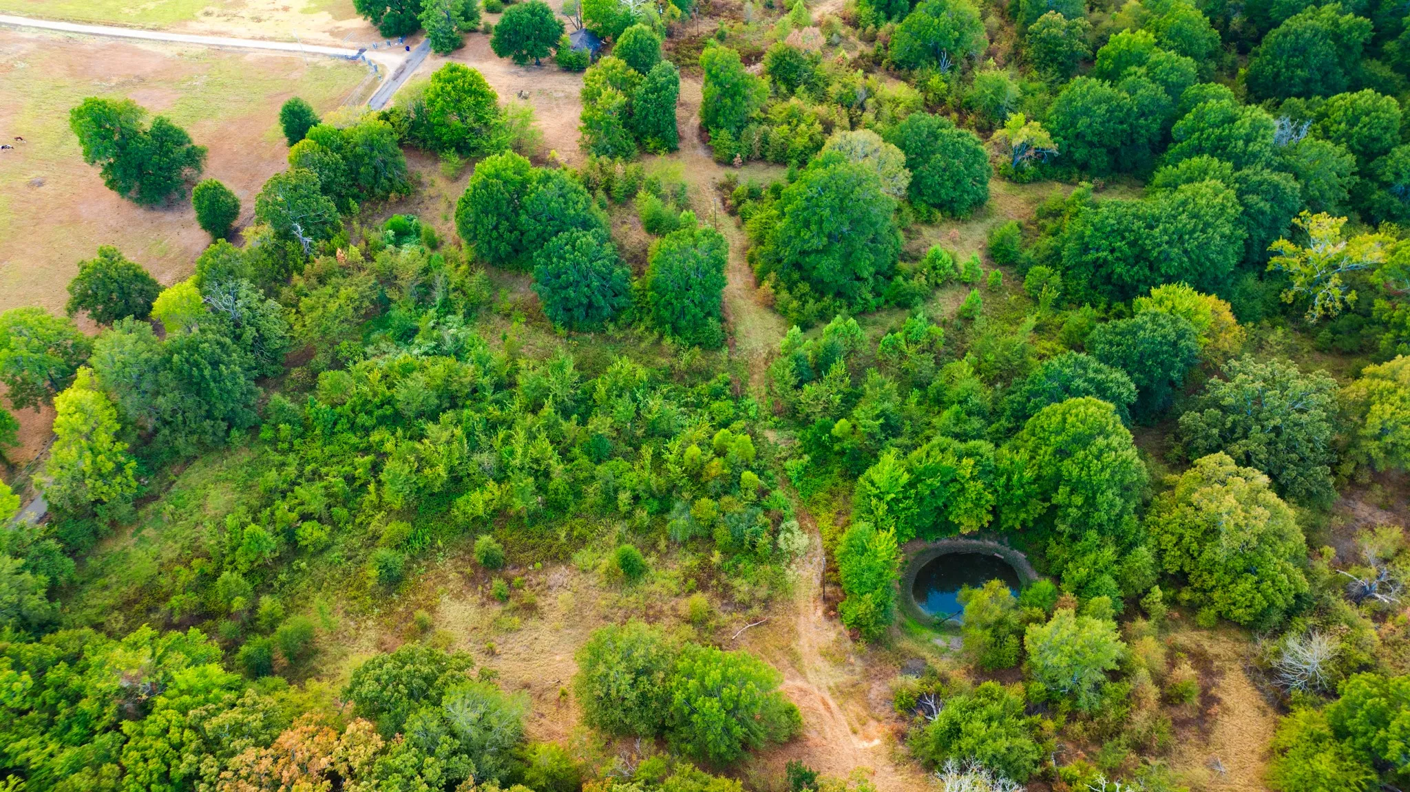Improved Land For Sale in Lamar County , 1713 County Road 43500, Paris, Texas 75462, 0, 0, Garage spaces, 0 Sqft, built in 2015, mls#21397671, Real Estate Agent in Paris, Homes For Sale in Lamar county, Homes For Sale in Paris, Realtor in Paris Texas, Real Estate Brokerage Independent Realty Texas, Luminita Cordes Realtor