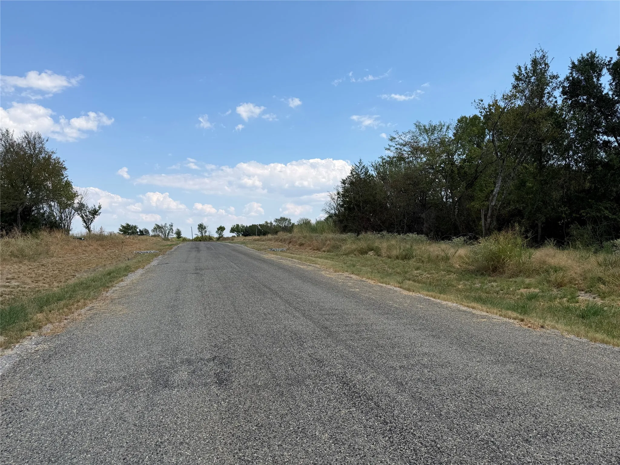 Gravel road with natural vegetation bordering the property