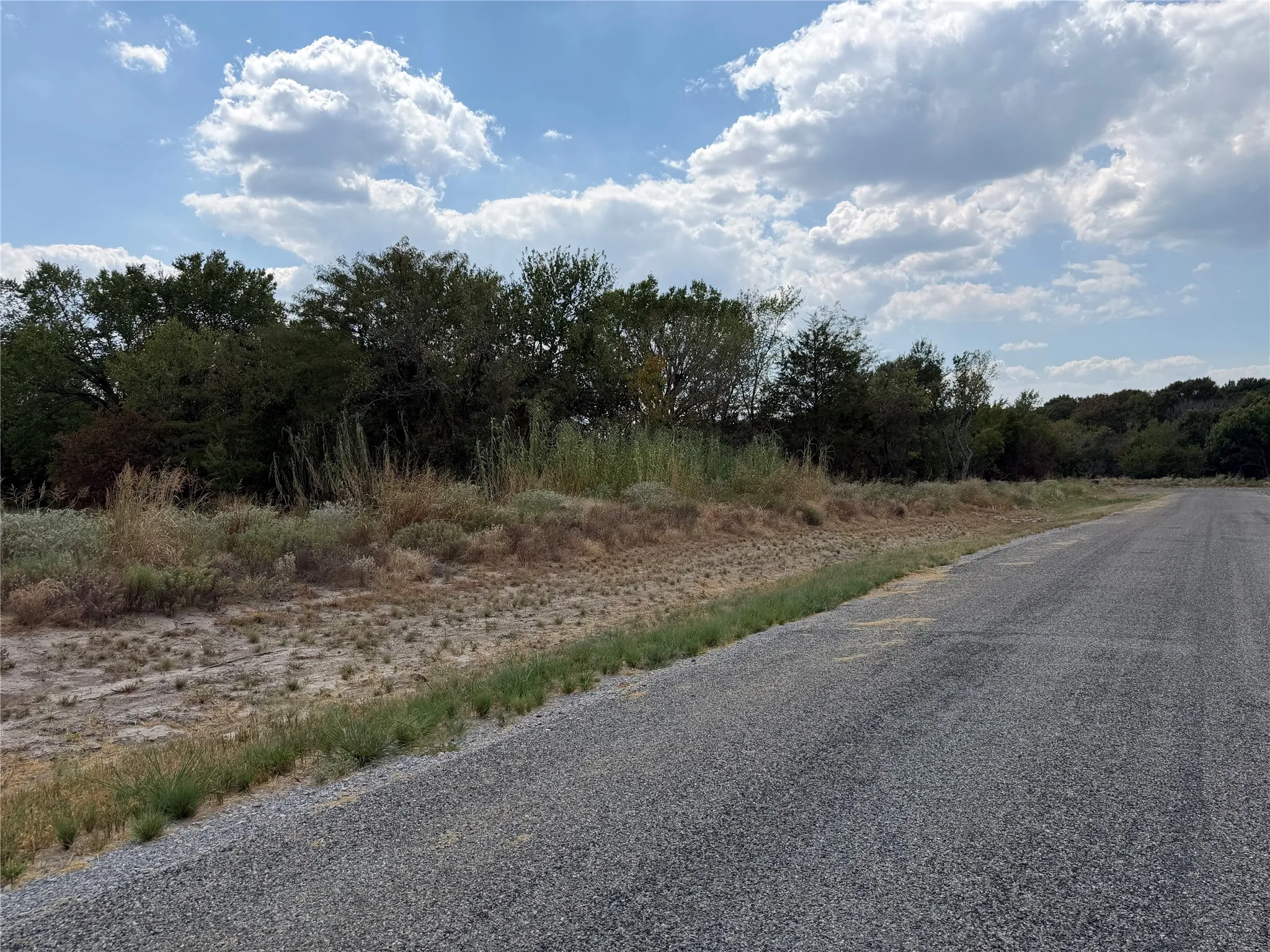 Paved road frontage with natural vegetation and mature trees