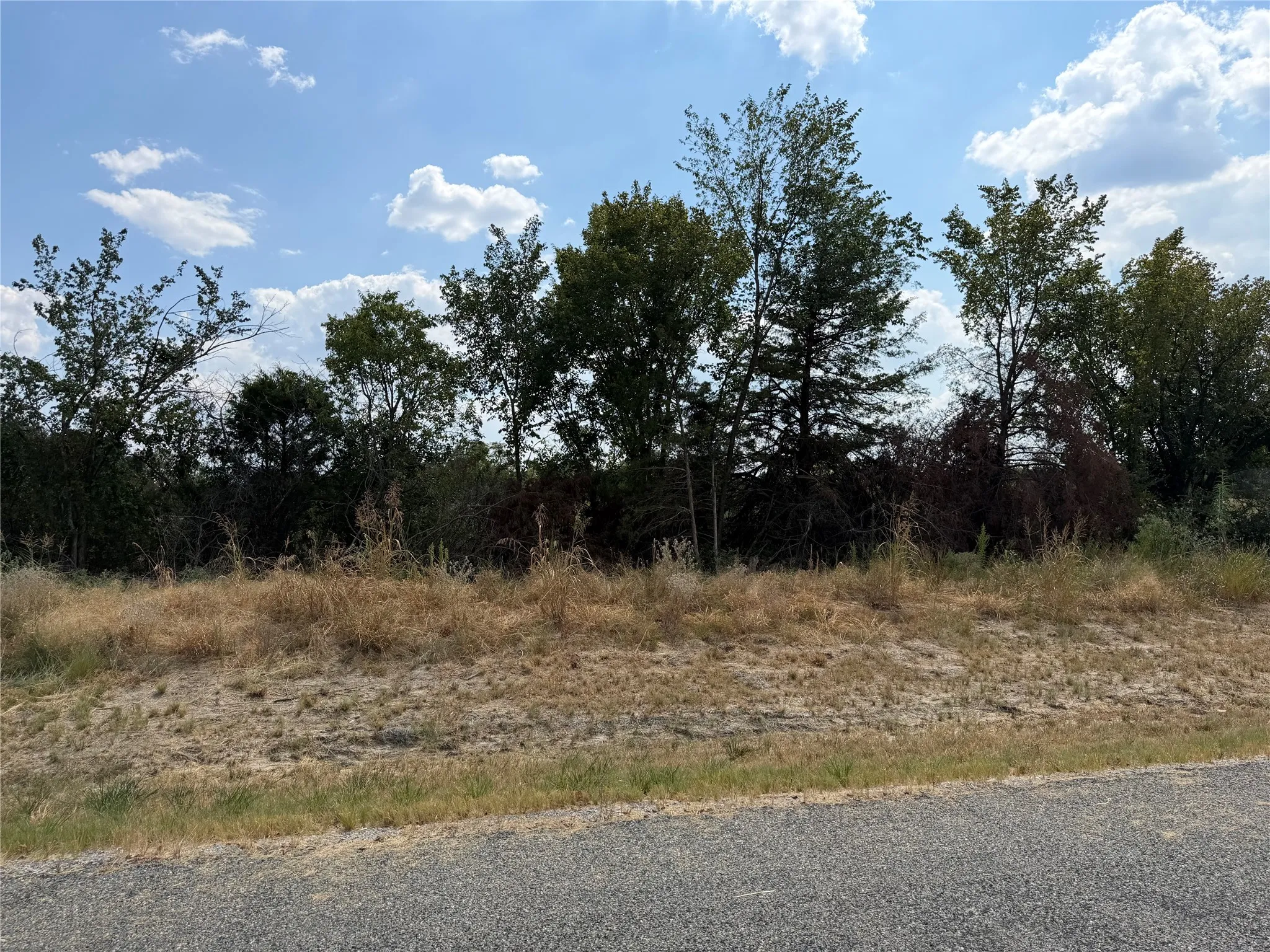 Unimproved Land For Sale in Hunt County , Lot 5 Co Rd 1110, Farmersville, Texas 75442, 0, 0, Garage spaces, 0 Sqft, built in 0, mls#21398104, Real Estate Agent in Farmersville, Homes For Sale in Hunt county, Homes For Sale in Farmersville, Realtor in Farmersville Texas, Real Estate Brokerage Independent Realty Texas, Luminita Cordes Realtor