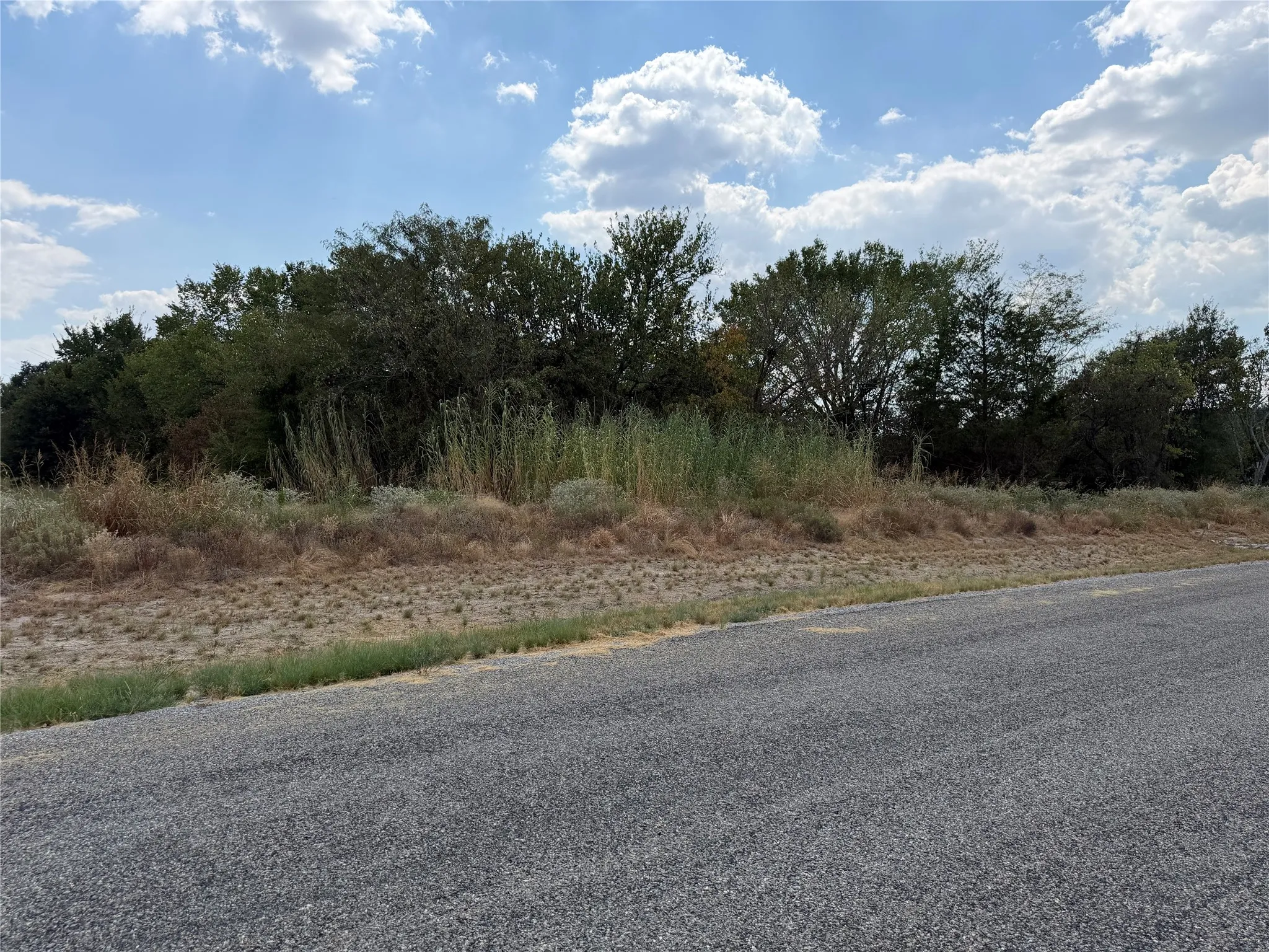 Paved road frontage with natural vegetation