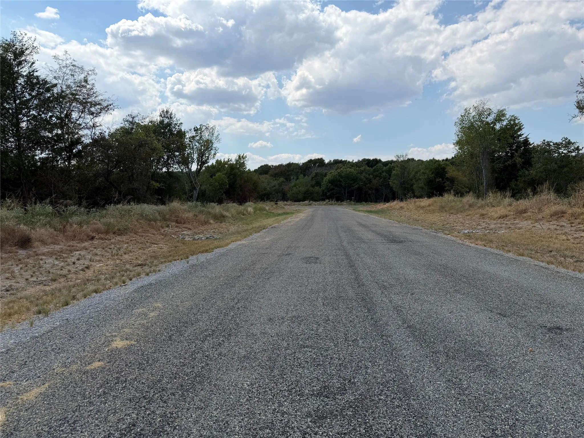 Asphalt paved road with natural ground cover and surrounding dense tree lines