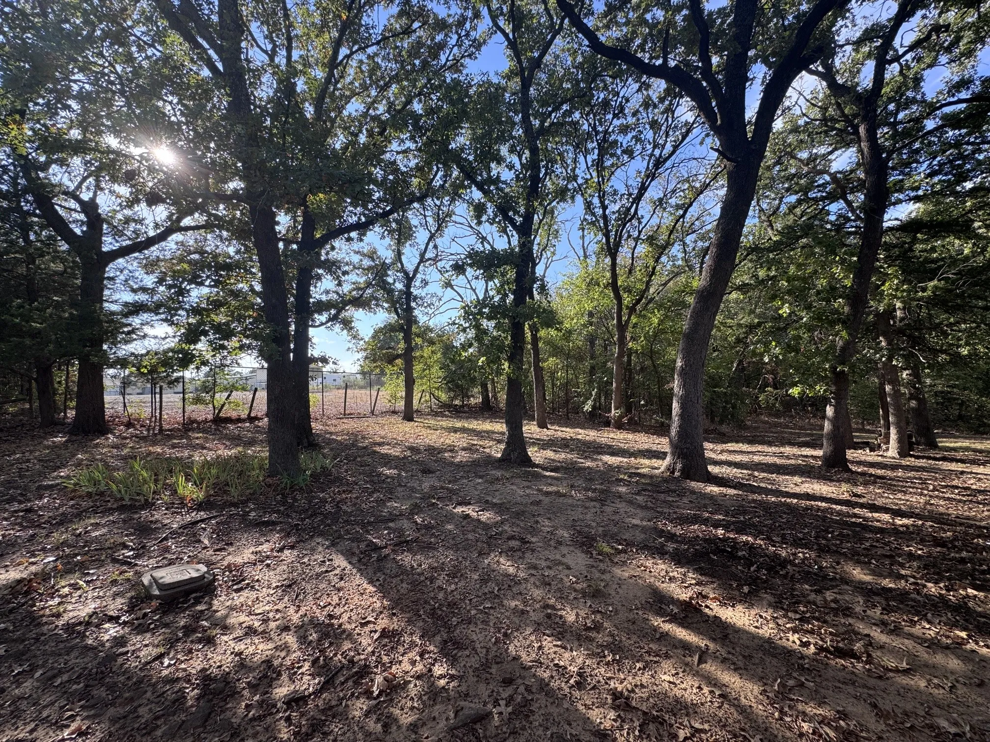 Single Family Residence For Rent in Grayson County , 331 Frosty Hollow Road, Denison, Texas 75021, 2 Bedroom, 1 Bathroom, Garage spaces, 700 Sqft, built in 1945, mls#21391510, Real Estate Agent in Denison, Homes For Rent in Grayson county, Homes For Rent in Denison, Realtor in Denison Texas, Real Estate Brokerage Independent Realty Texas, Luminita Cordes Realtor