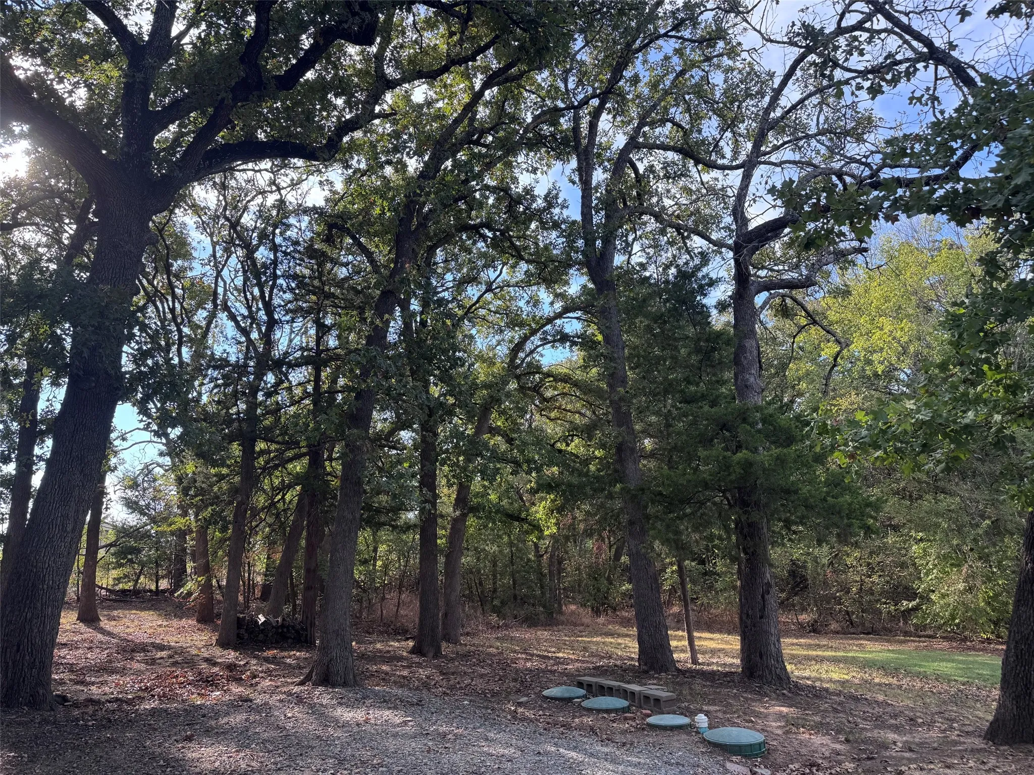 Single Family Residence For Rent in Grayson County , 331 Frosty Hollow Road, Denison, Texas 75021, 2 Bedroom, 1 Bathroom, Garage spaces, 700 Sqft, built in 1945, mls#21391510, Real Estate Agent in Denison, Homes For Rent in Grayson county, Homes For Rent in Denison, Realtor in Denison Texas, Real Estate Brokerage Independent Realty Texas, Luminita Cordes Realtor