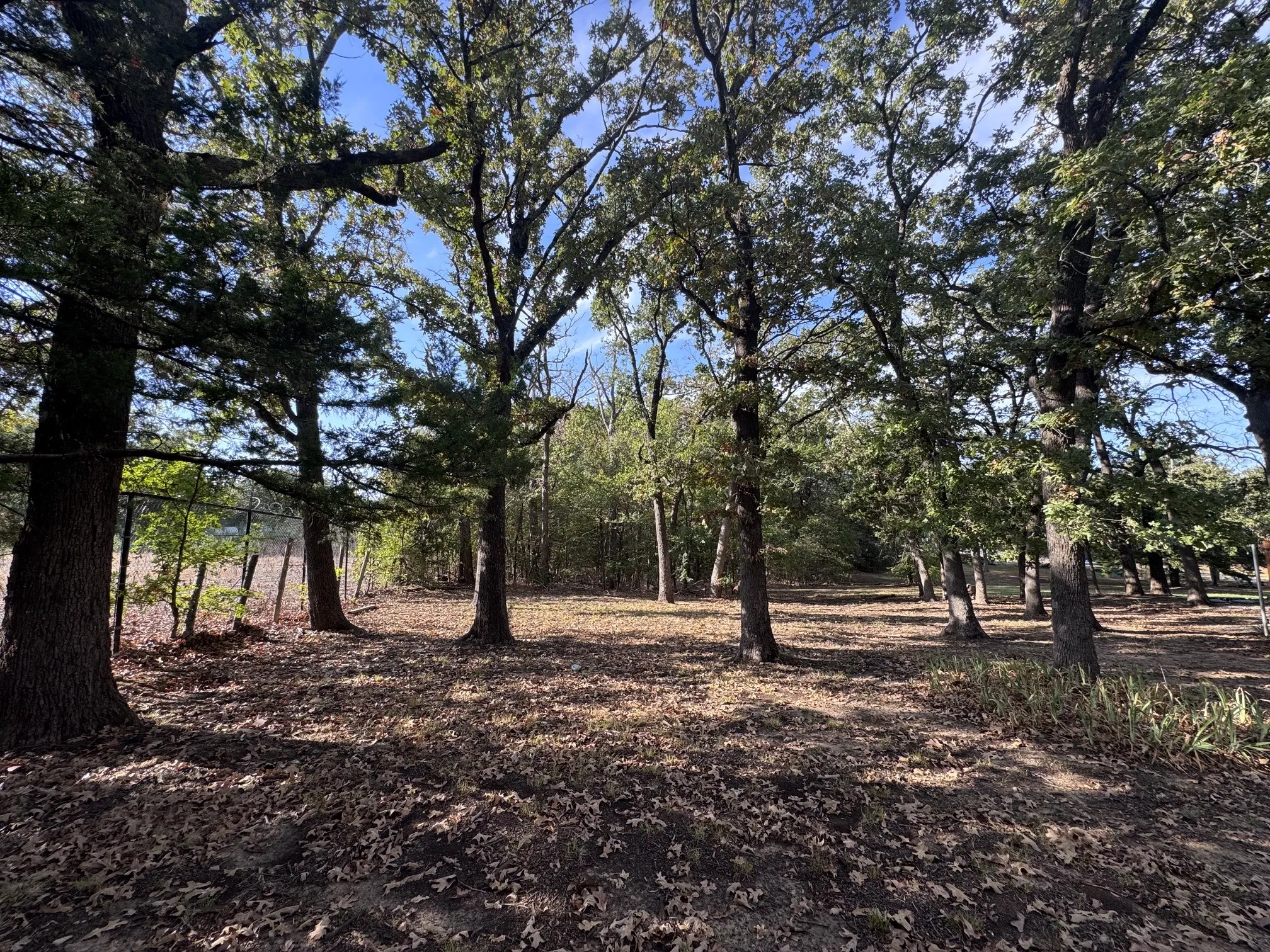Single Family Residence For Rent in Grayson County , 331 Frosty Hollow Road, Denison, Texas 75021, 2 Bedroom, 1 Bathroom, Garage spaces, 700 Sqft, built in 1945, mls#21391510, Real Estate Agent in Denison, Homes For Rent in Grayson county, Homes For Rent in Denison, Realtor in Denison Texas, Real Estate Brokerage Independent Realty Texas, Luminita Cordes Realtor
