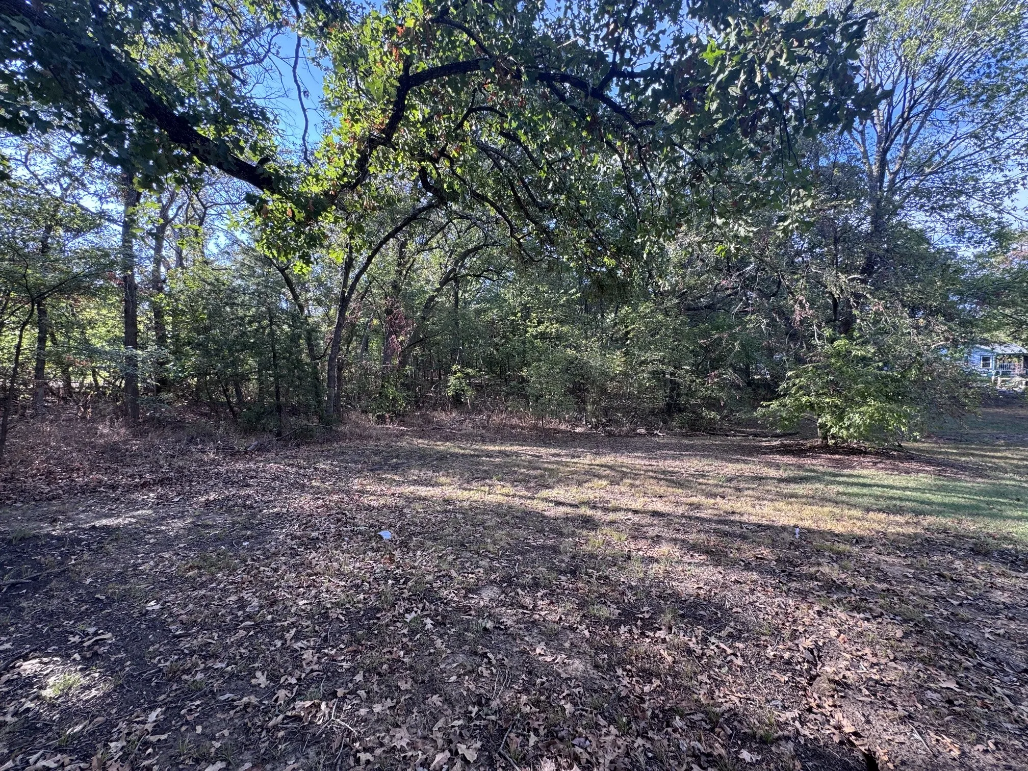 Single Family Residence For Rent in Grayson County , 331 Frosty Hollow Road, Denison, Texas 75021, 2 Bedroom, 1 Bathroom, Garage spaces, 700 Sqft, built in 1945, mls#21391510, Real Estate Agent in Denison, Homes For Rent in Grayson county, Homes For Rent in Denison, Realtor in Denison Texas, Real Estate Brokerage Independent Realty Texas, Luminita Cordes Realtor