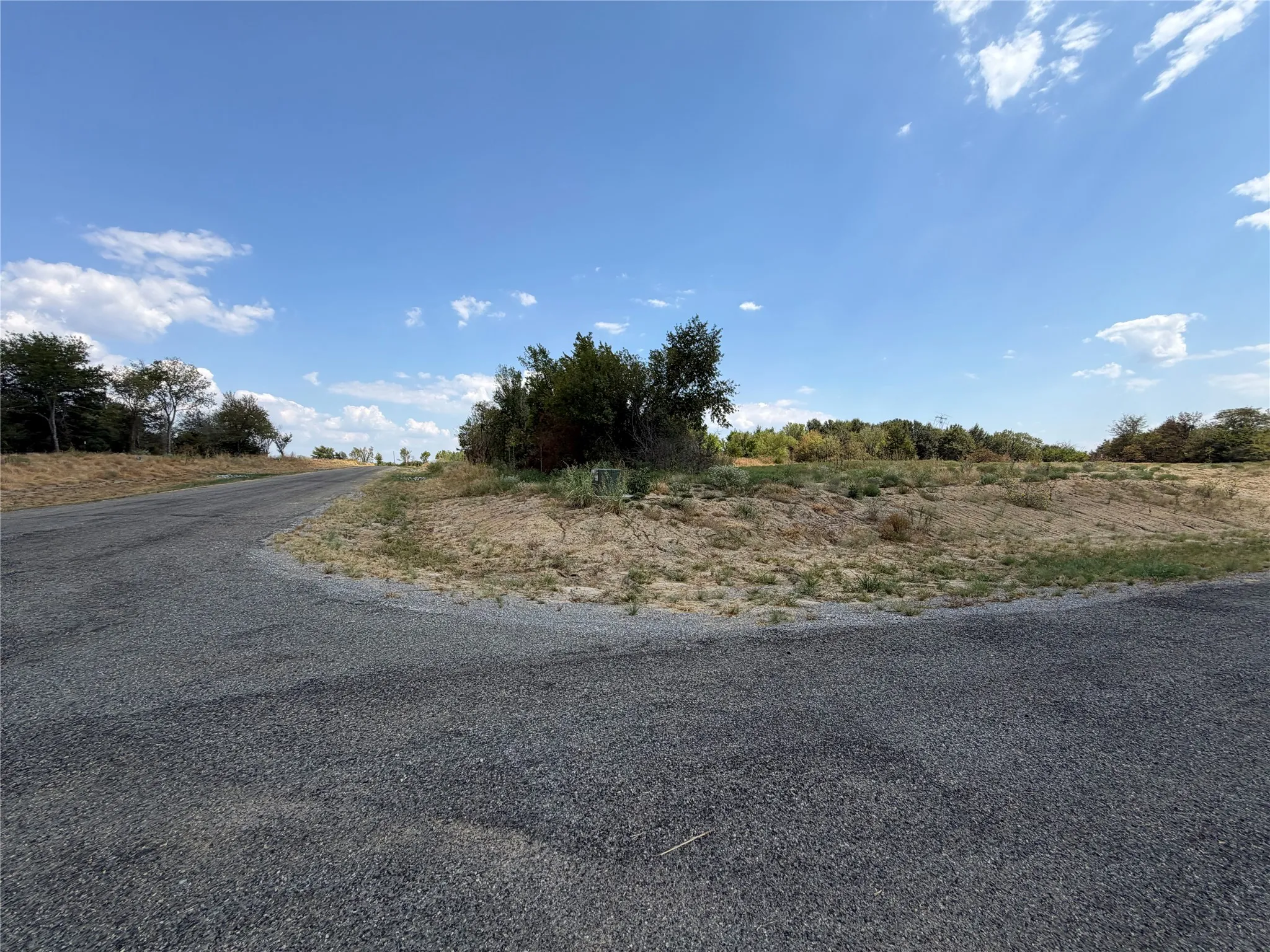 Gravel road frontage bordering undeveloped land with natural vegetation and mature trees