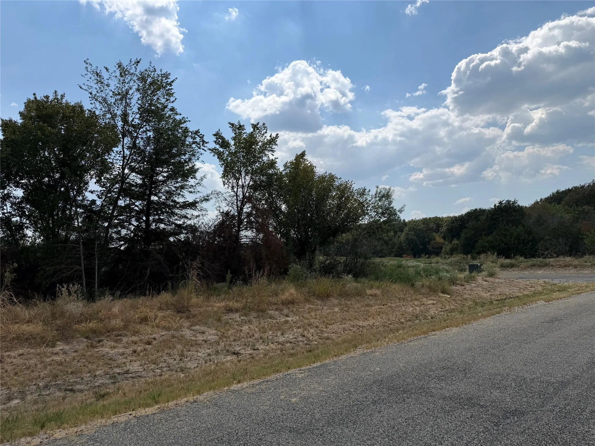 Established trees and natural landscaping border a paved road