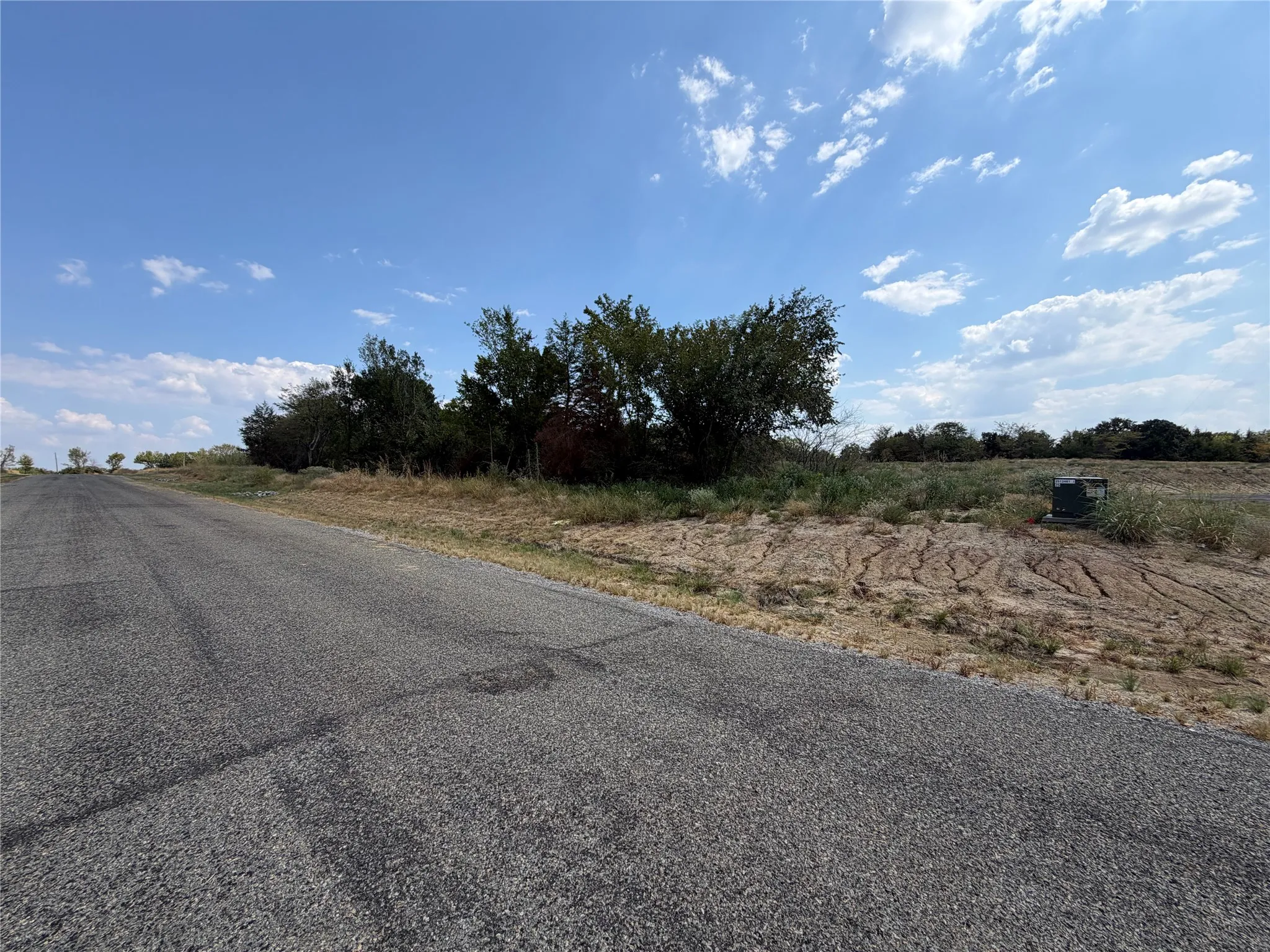 Paved road frontage with an adjacent undeveloped lot featuring natural vegetation