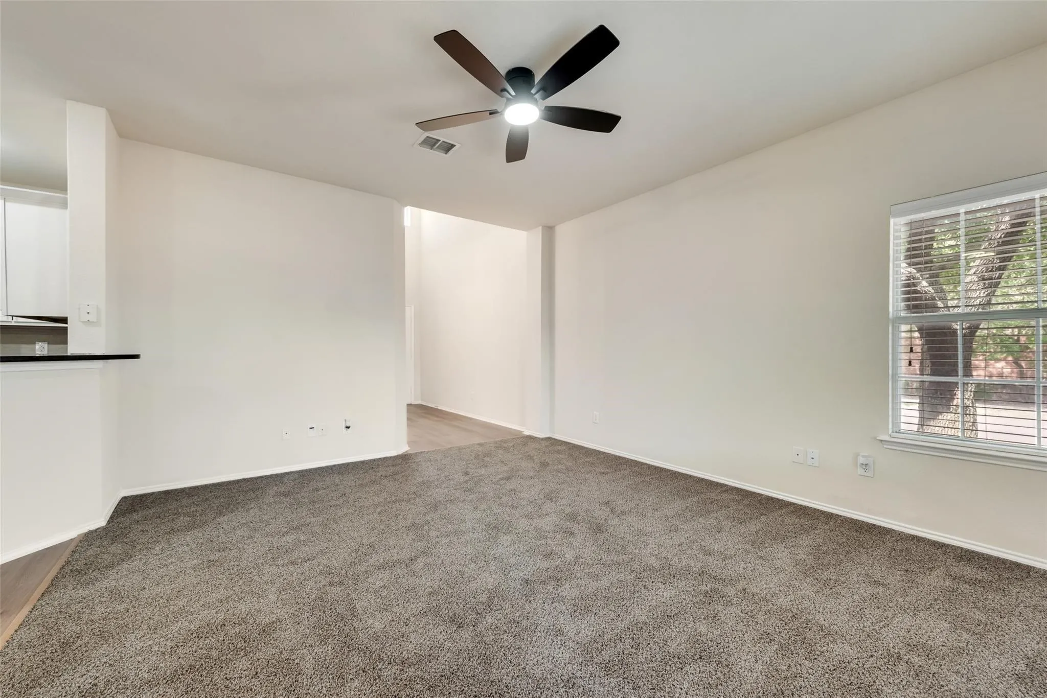 Spacious room featuring carpet flooring, a ceiling fan, and a window with horizontal blinds