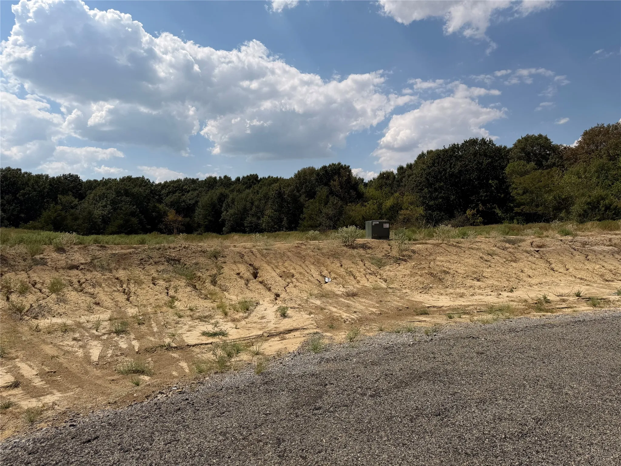 Unimproved Land For Sale in Hunt County , Lot 8 Co Rd 1110, Farmersville, Texas 75442, 0, 0, Garage spaces, 0 Sqft, built in 0, mls#21398156, Real Estate Agent in Farmersville, Homes For Sale in Hunt county, Homes For Sale in Farmersville, Realtor in Farmersville Texas, Real Estate Brokerage Independent Realty Texas, Luminita Cordes Realtor