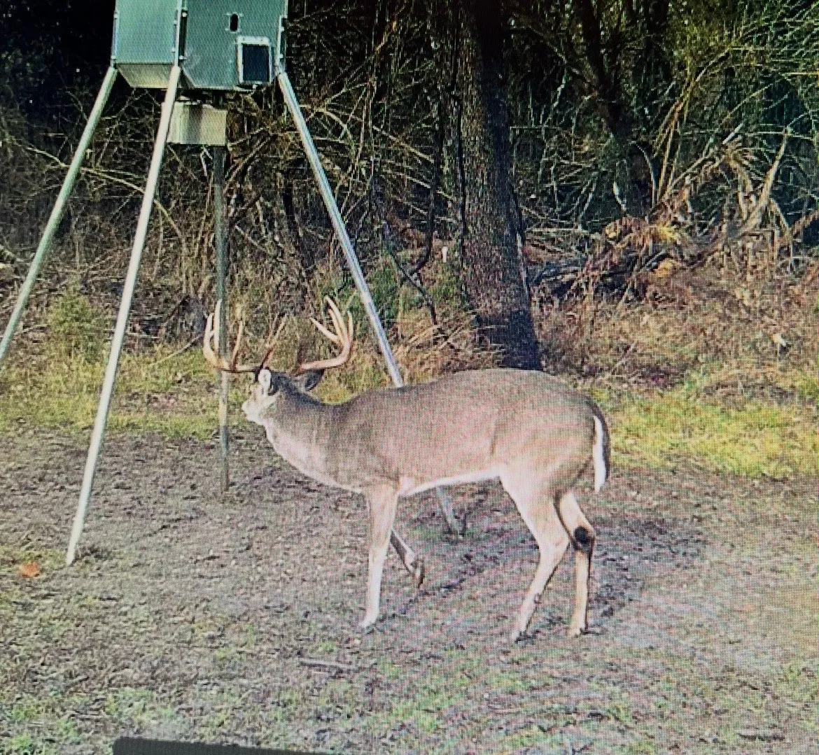 Improved Land For Sale in Lamar County , TBD Farm Road 906, Powderly, Texas 75473, 0, 0, Garage spaces, 0 Sqft, built in 2016, mls#21398160, Real Estate Agent in Powderly, Homes For Sale in Lamar county, Homes For Sale in Powderly, Realtor in Powderly Texas, Real Estate Brokerage Independent Realty Texas, Luminita Cordes Realtor