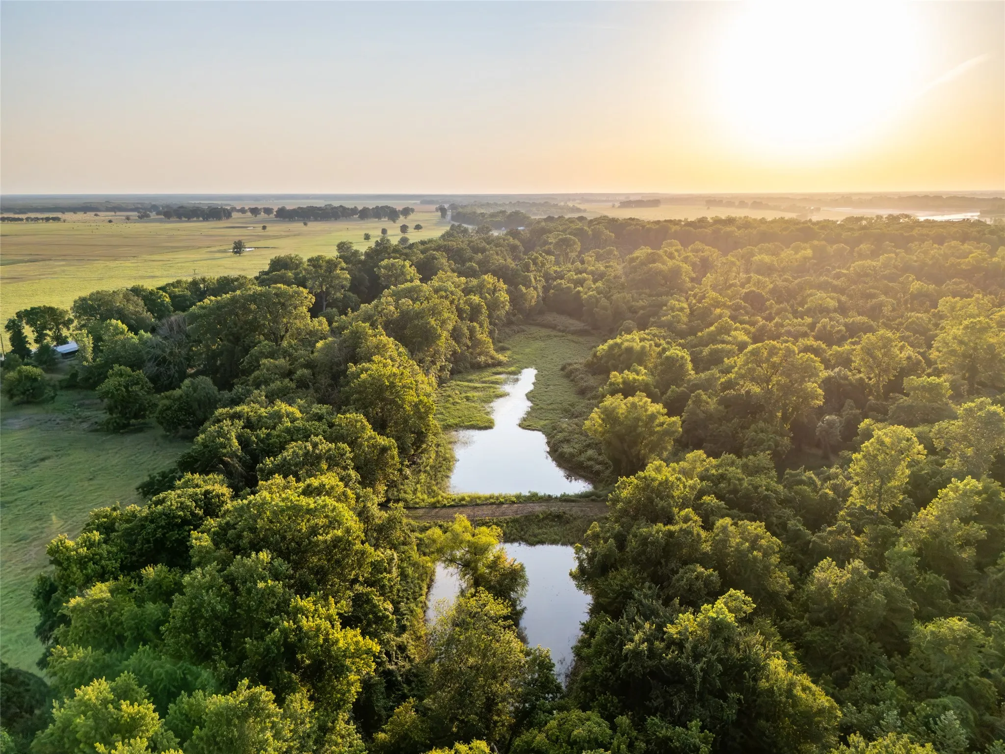 Improved Land For Sale in Lamar County , TBD Farm Road 906, Powderly, Texas 75473, 0, 0, Garage spaces, 0 Sqft, built in 2016, mls#21398160, Real Estate Agent in Powderly, Homes For Sale in Lamar county, Homes For Sale in Powderly, Realtor in Powderly Texas, Real Estate Brokerage Independent Realty Texas, Luminita Cordes Realtor