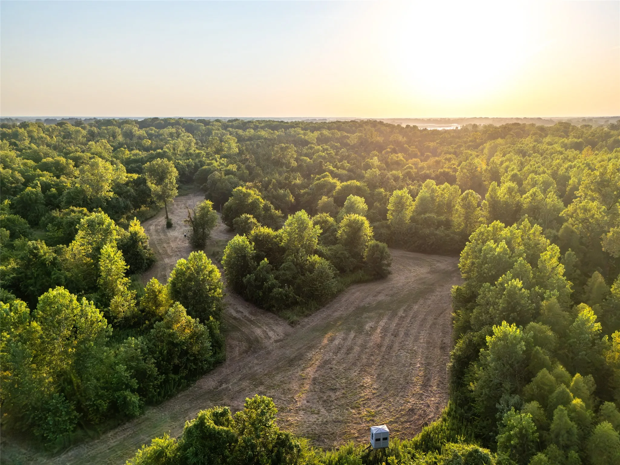 Improved Land For Sale in Lamar County , TBD Farm Road 906, Powderly, Texas 75473, 0, 0, Garage spaces, 0 Sqft, built in 2016, mls#21398160, Real Estate Agent in Powderly, Homes For Sale in Lamar county, Homes For Sale in Powderly, Realtor in Powderly Texas, Real Estate Brokerage Independent Realty Texas, Luminita Cordes Realtor