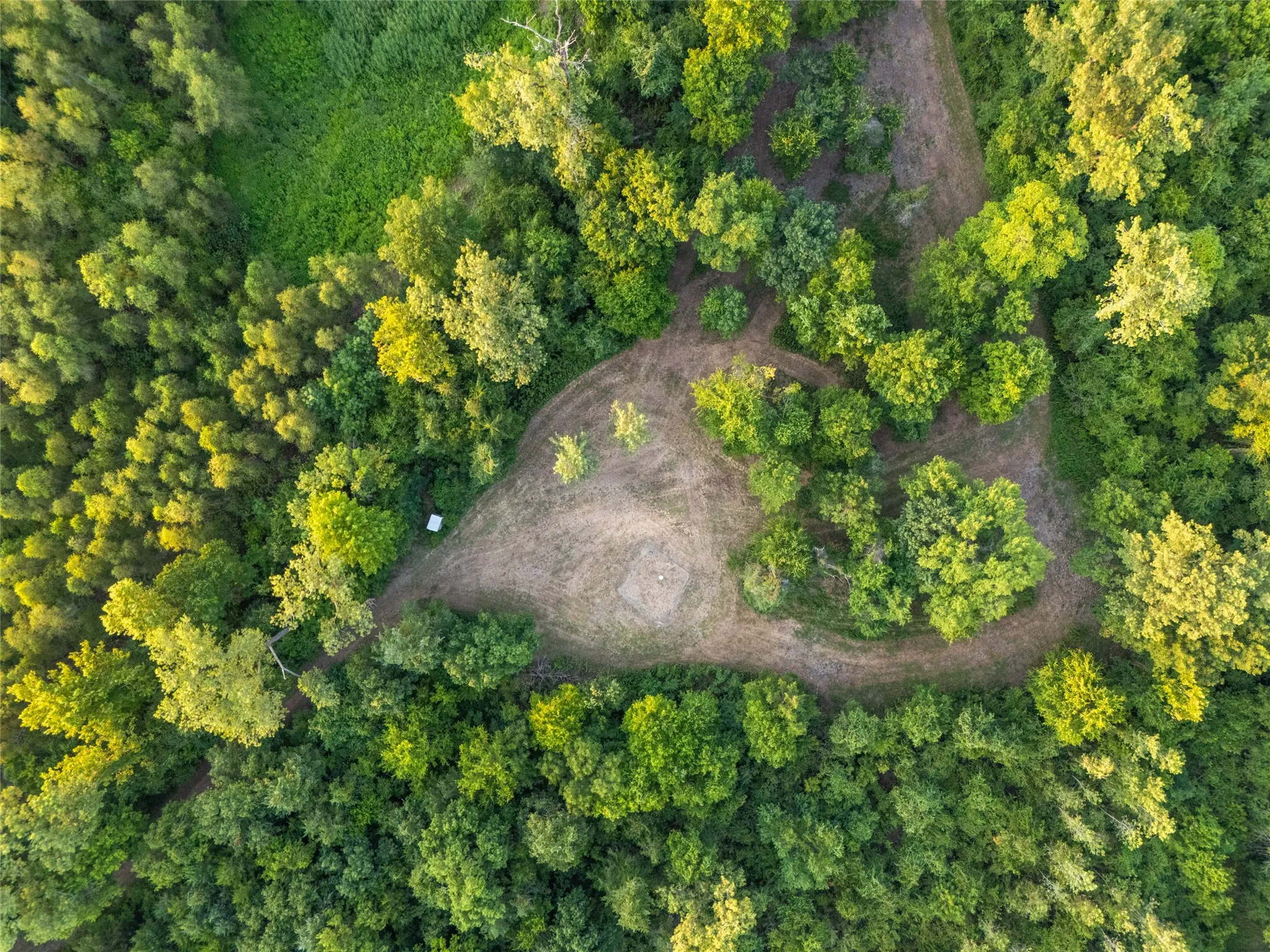 Improved Land For Sale in Lamar County , TBD Farm Road 906, Powderly, Texas 75473, 0, 0, Garage spaces, 0 Sqft, built in 2016, mls#21398160, Real Estate Agent in Powderly, Homes For Sale in Lamar county, Homes For Sale in Powderly, Realtor in Powderly Texas, Real Estate Brokerage Independent Realty Texas, Luminita Cordes Realtor