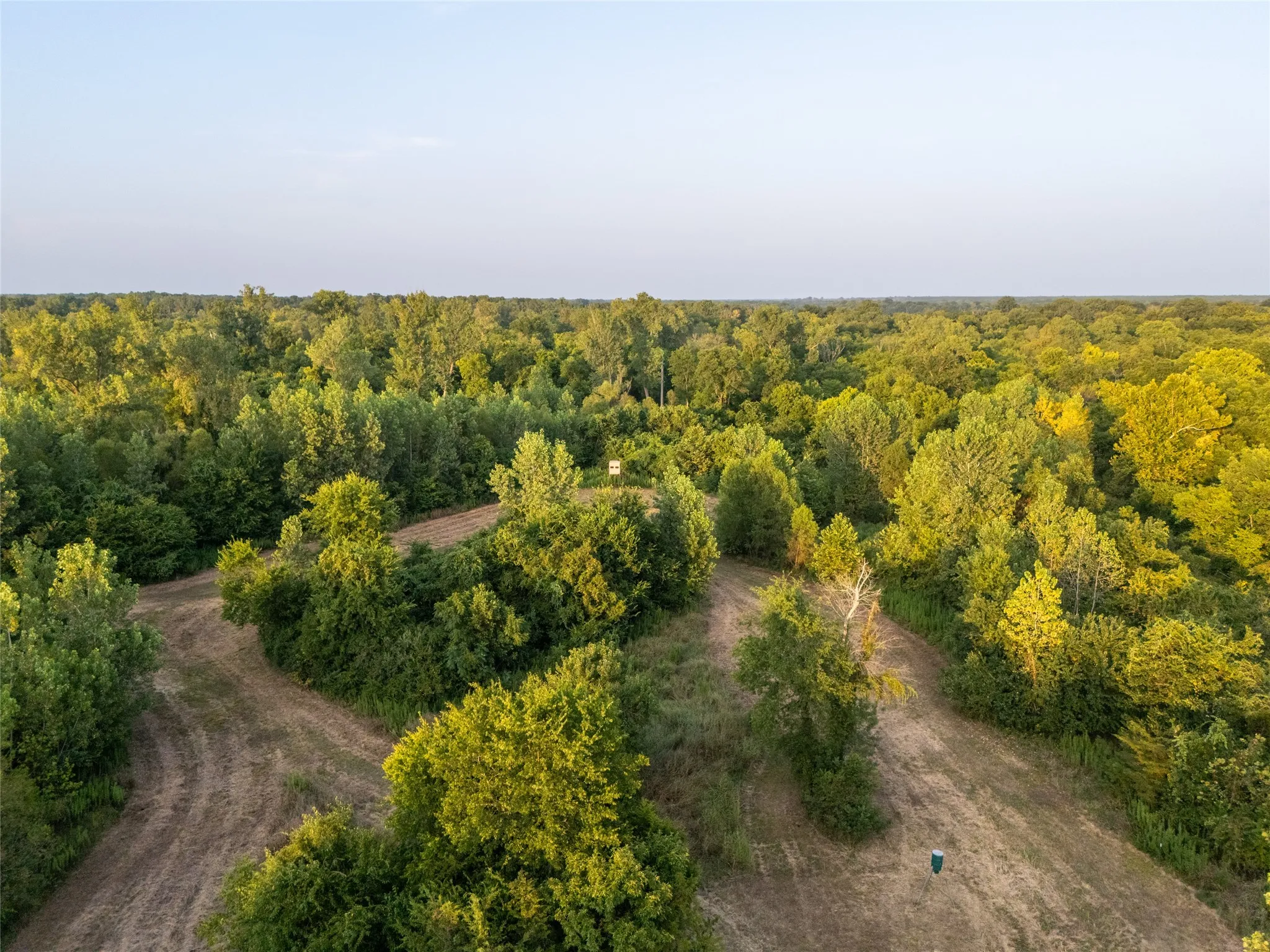 Improved Land For Sale in Lamar County , TBD Farm Road 906, Powderly, Texas 75473, 0, 0, Garage spaces, 0 Sqft, built in 2016, mls#21398160, Real Estate Agent in Powderly, Homes For Sale in Lamar county, Homes For Sale in Powderly, Realtor in Powderly Texas, Real Estate Brokerage Independent Realty Texas, Luminita Cordes Realtor