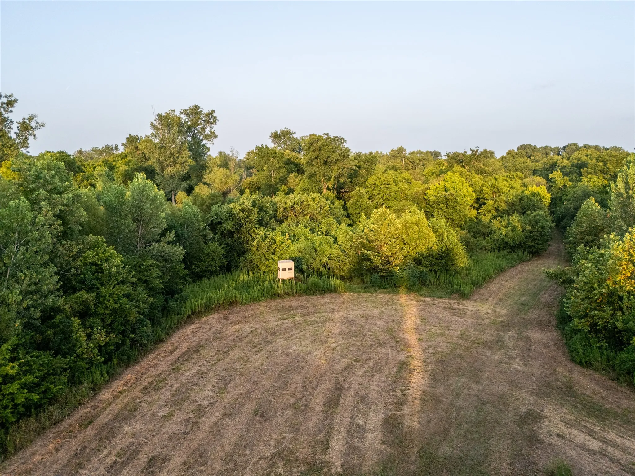 Improved Land For Sale in Lamar County , TBD Farm Road 906, Powderly, Texas 75473, 0, 0, Garage spaces, 0 Sqft, built in 2016, mls#21398160, Real Estate Agent in Powderly, Homes For Sale in Lamar county, Homes For Sale in Powderly, Realtor in Powderly Texas, Real Estate Brokerage Independent Realty Texas, Luminita Cordes Realtor