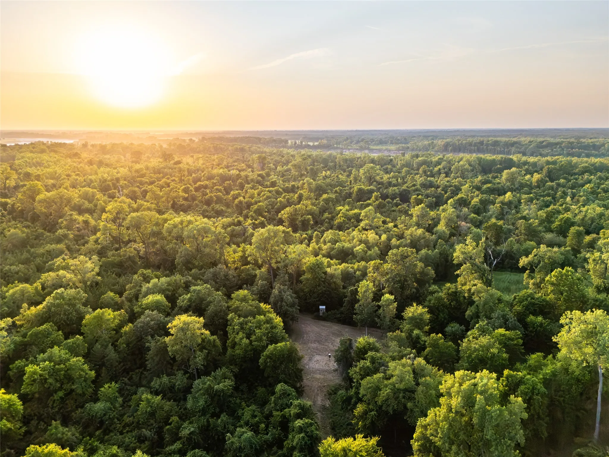 Improved Land For Sale in Lamar County , TBD Farm Road 906, Powderly, Texas 75473, 0, 0, Garage spaces, 0 Sqft, built in 2016, mls#21398160, Real Estate Agent in Powderly, Homes For Sale in Lamar county, Homes For Sale in Powderly, Realtor in Powderly Texas, Real Estate Brokerage Independent Realty Texas, Luminita Cordes Realtor
