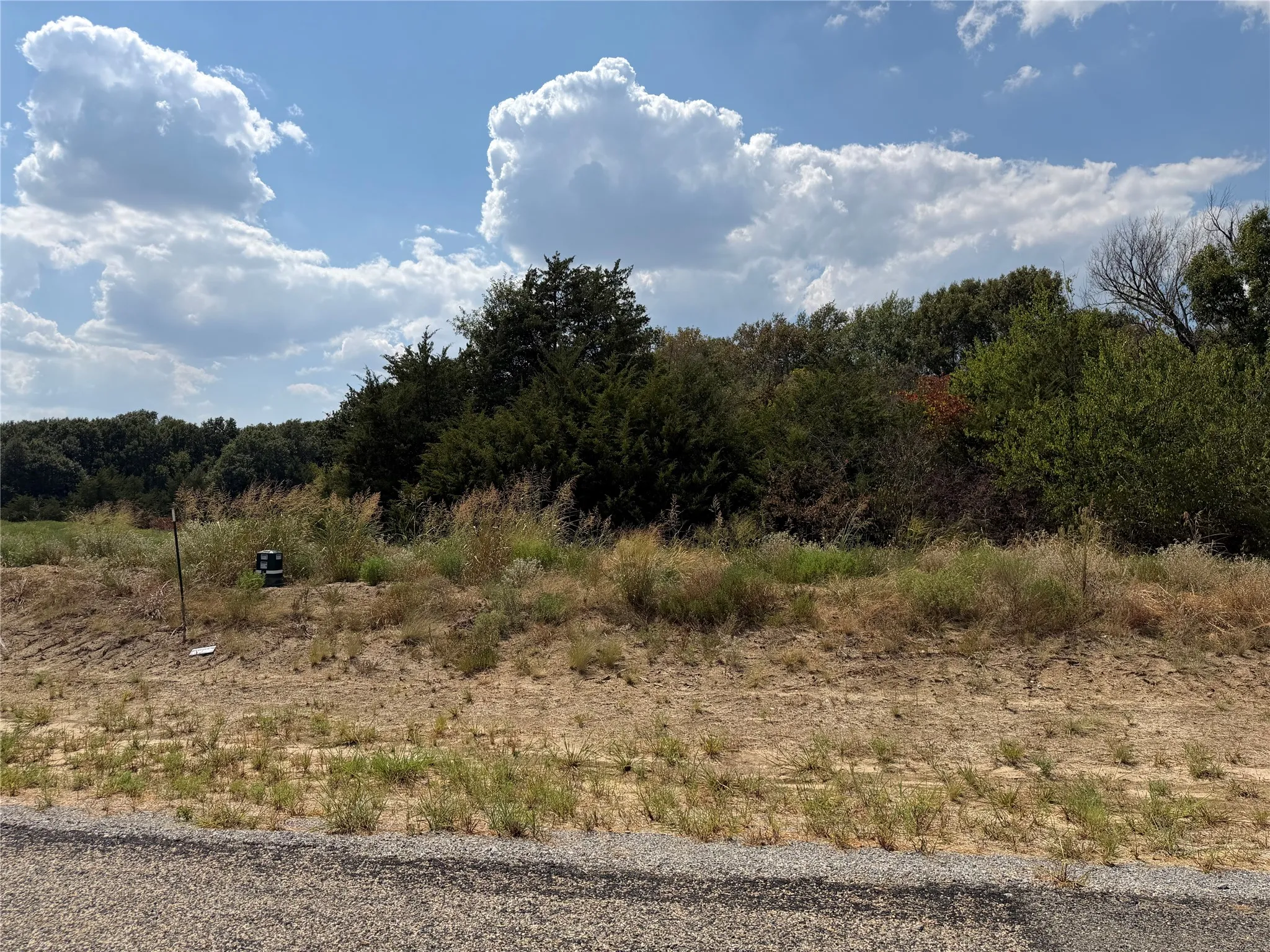 Wooded lot with mature trees and a gravel road frontage