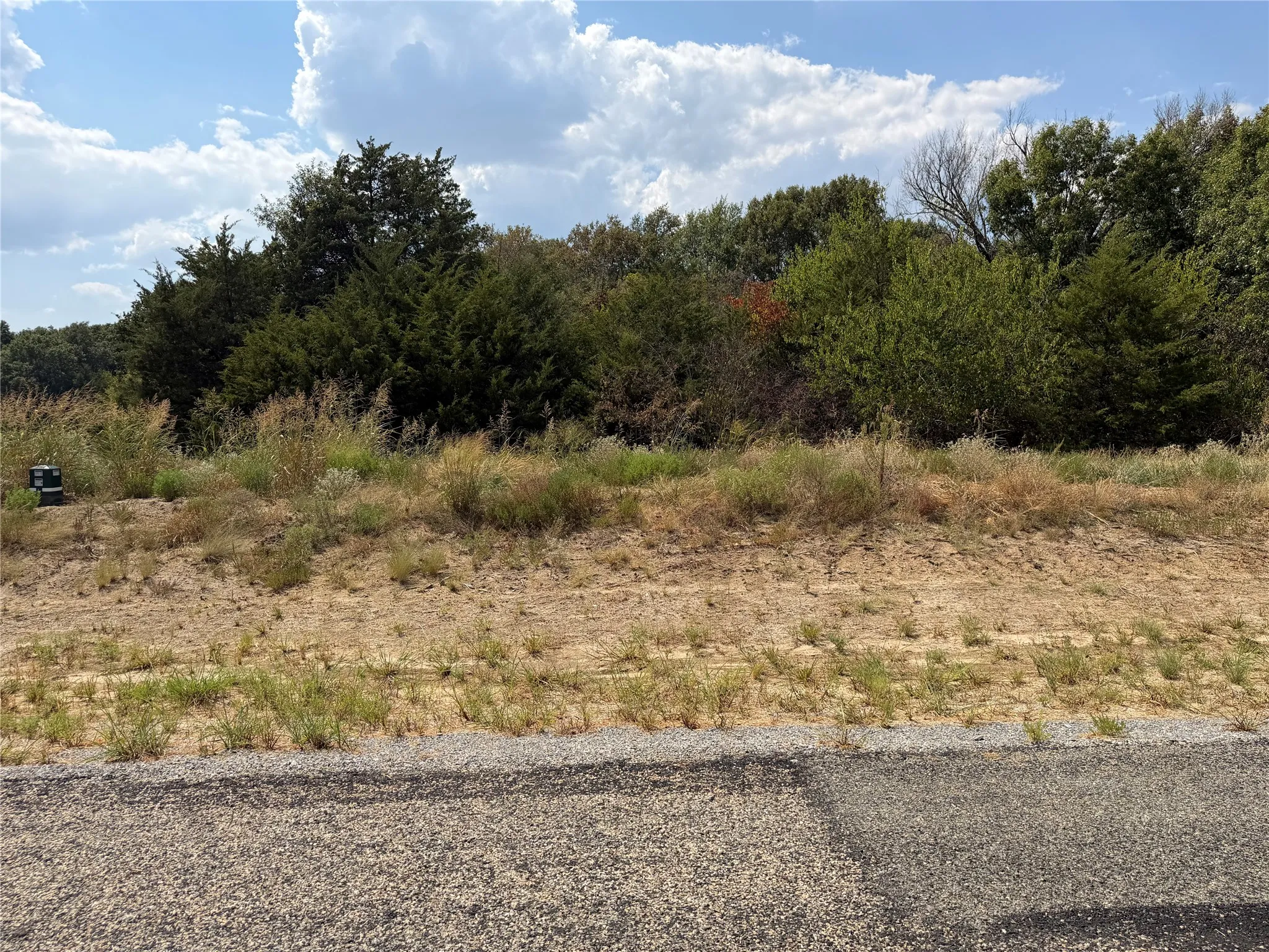 Unimproved Land For Sale in Hunt County , Lot 10 Co Rd 1110, Farmersville, Texas 75442, 0, 0, Garage spaces, 0 Sqft, built in 0, mls#21398193, Real Estate Agent in Farmersville, Homes For Sale in Hunt county, Homes For Sale in Farmersville, Realtor in Farmersville Texas, Real Estate Brokerage Independent Realty Texas, Luminita Cordes Realtor