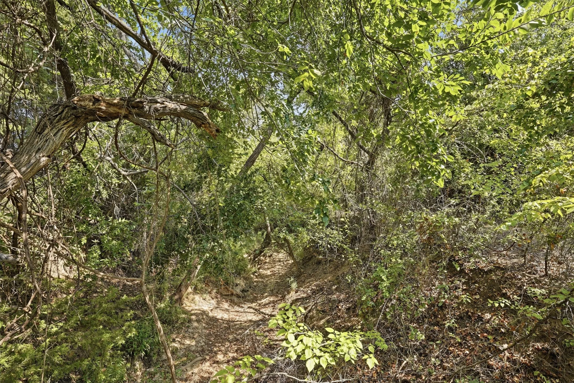 Unimproved Land For Sale in Parker County , 3703 Holbrook Road, Springtown, Texas 76082, 0, 0, Garage spaces, 0 Sqft, built in 0, mls#21398135, Real Estate Agent in Springtown, Homes For Sale in Parker county, Homes For Sale in Springtown, Realtor in Springtown Texas, Real Estate Brokerage Independent Realty Texas, Luminita Cordes Realtor