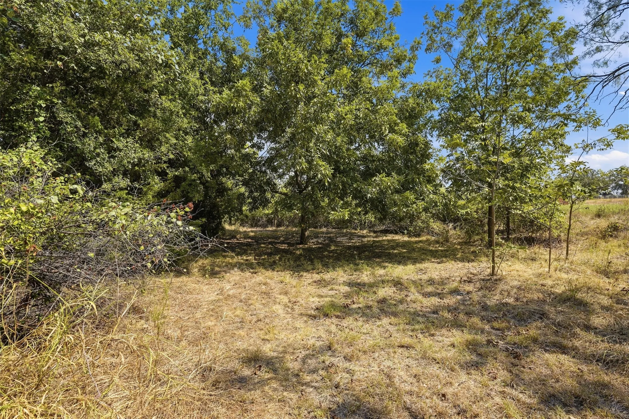 Unimproved Land For Sale in Parker County , 3703 Holbrook Road, Springtown, Texas 76082, 0, 0, Garage spaces, 0 Sqft, built in 0, mls#21398135, Real Estate Agent in Springtown, Homes For Sale in Parker county, Homes For Sale in Springtown, Realtor in Springtown Texas, Real Estate Brokerage Independent Realty Texas, Luminita Cordes Realtor