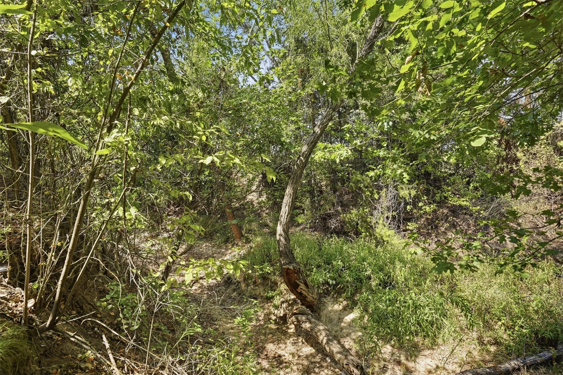Unimproved Land For Sale in Parker County , 3703 Holbrook Road, Springtown, Texas 76082, 0, 0, Garage spaces, 0 Sqft, built in 0, mls#21398135, Real Estate Agent in Springtown, Homes For Sale in Parker county, Homes For Sale in Springtown, Realtor in Springtown Texas, Real Estate Brokerage Independent Realty Texas, Luminita Cordes Realtor