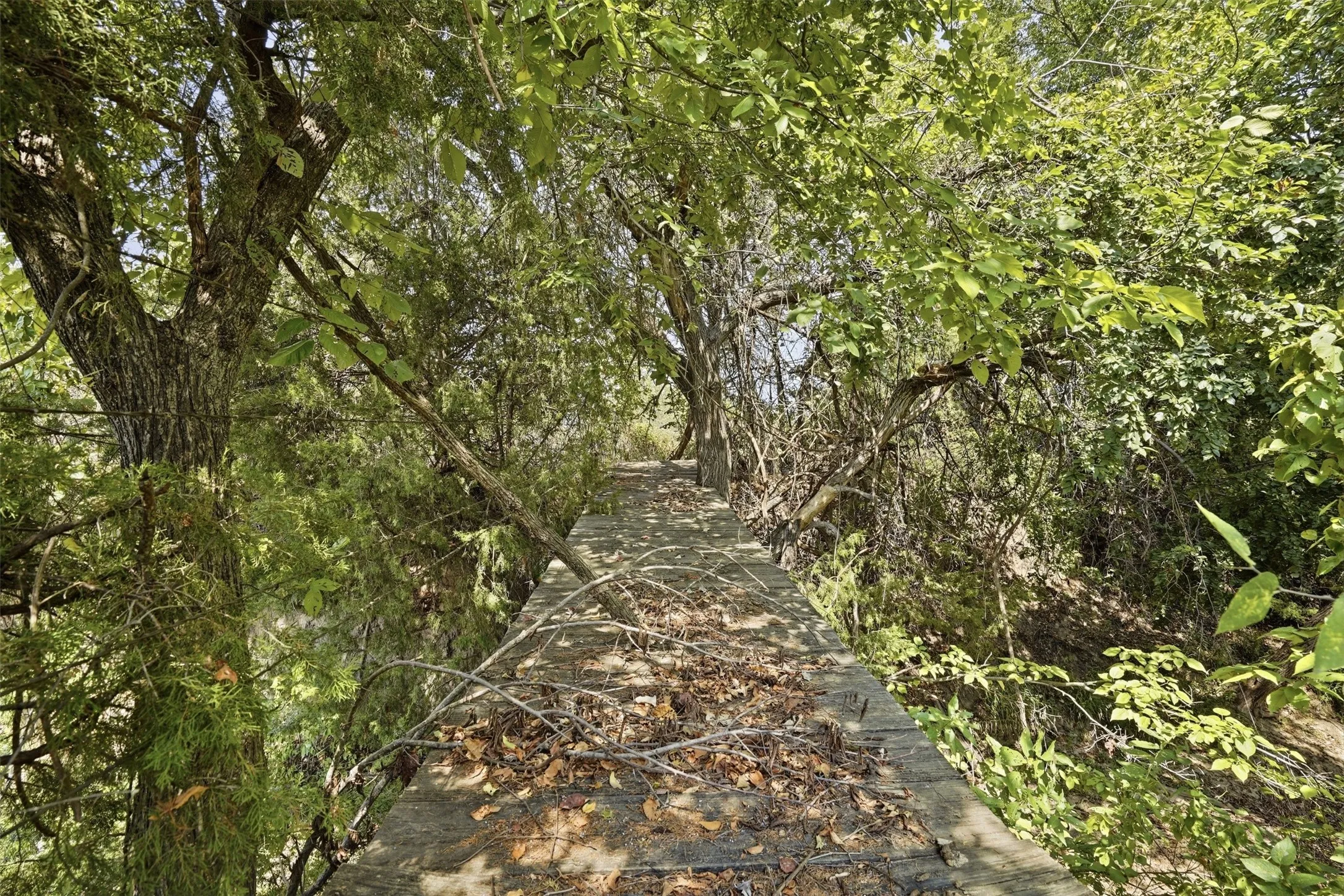 Unimproved Land For Sale in Parker County , 3703 Holbrook Road, Springtown, Texas 76082, 0, 0, Garage spaces, 0 Sqft, built in 0, mls#21398135, Real Estate Agent in Springtown, Homes For Sale in Parker county, Homes For Sale in Springtown, Realtor in Springtown Texas, Real Estate Brokerage Independent Realty Texas, Luminita Cordes Realtor