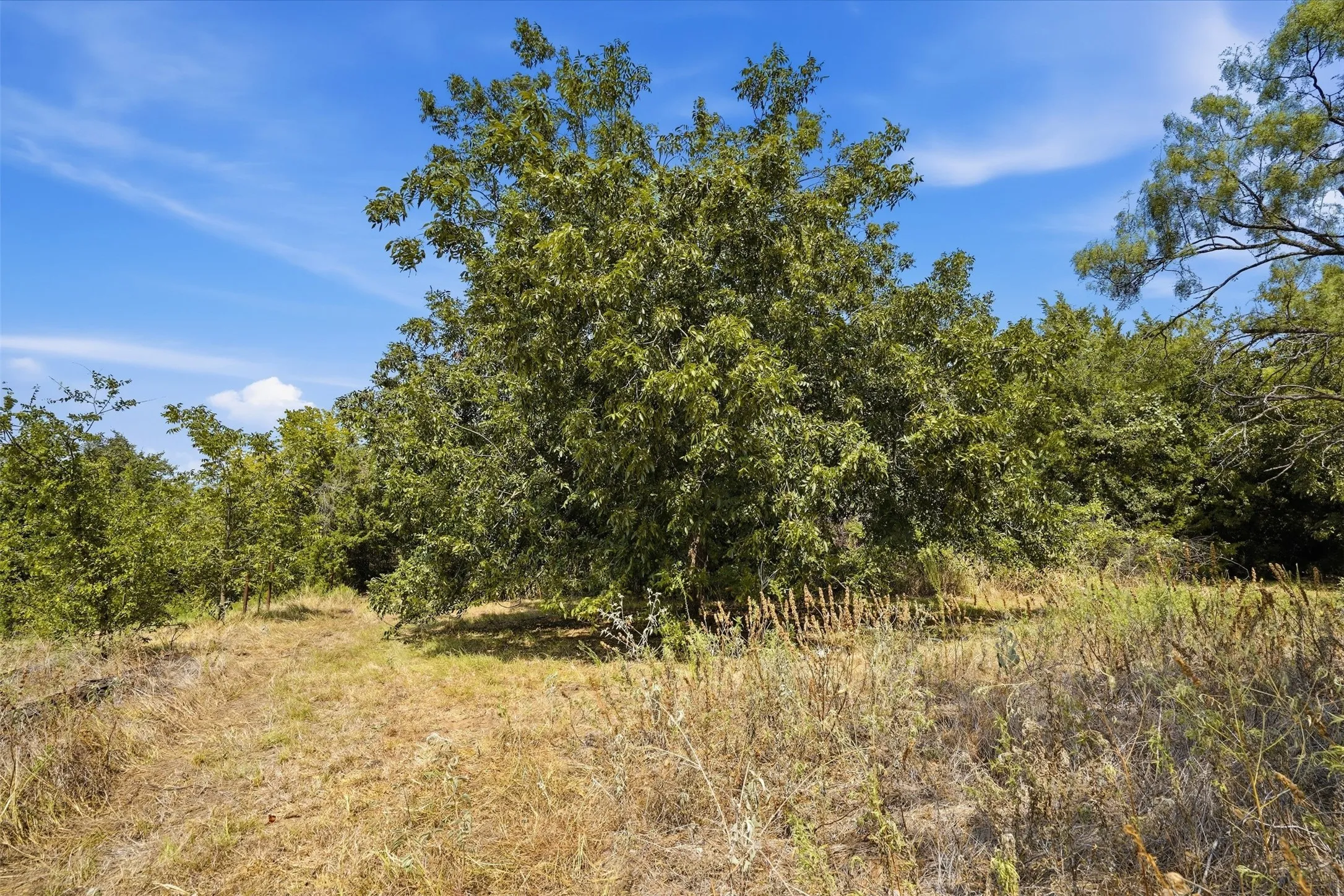 Unimproved Land For Sale in Parker County , 3703 Holbrook Road, Springtown, Texas 76082, 0, 0, Garage spaces, 0 Sqft, built in 0, mls#21398135, Real Estate Agent in Springtown, Homes For Sale in Parker county, Homes For Sale in Springtown, Realtor in Springtown Texas, Real Estate Brokerage Independent Realty Texas, Luminita Cordes Realtor