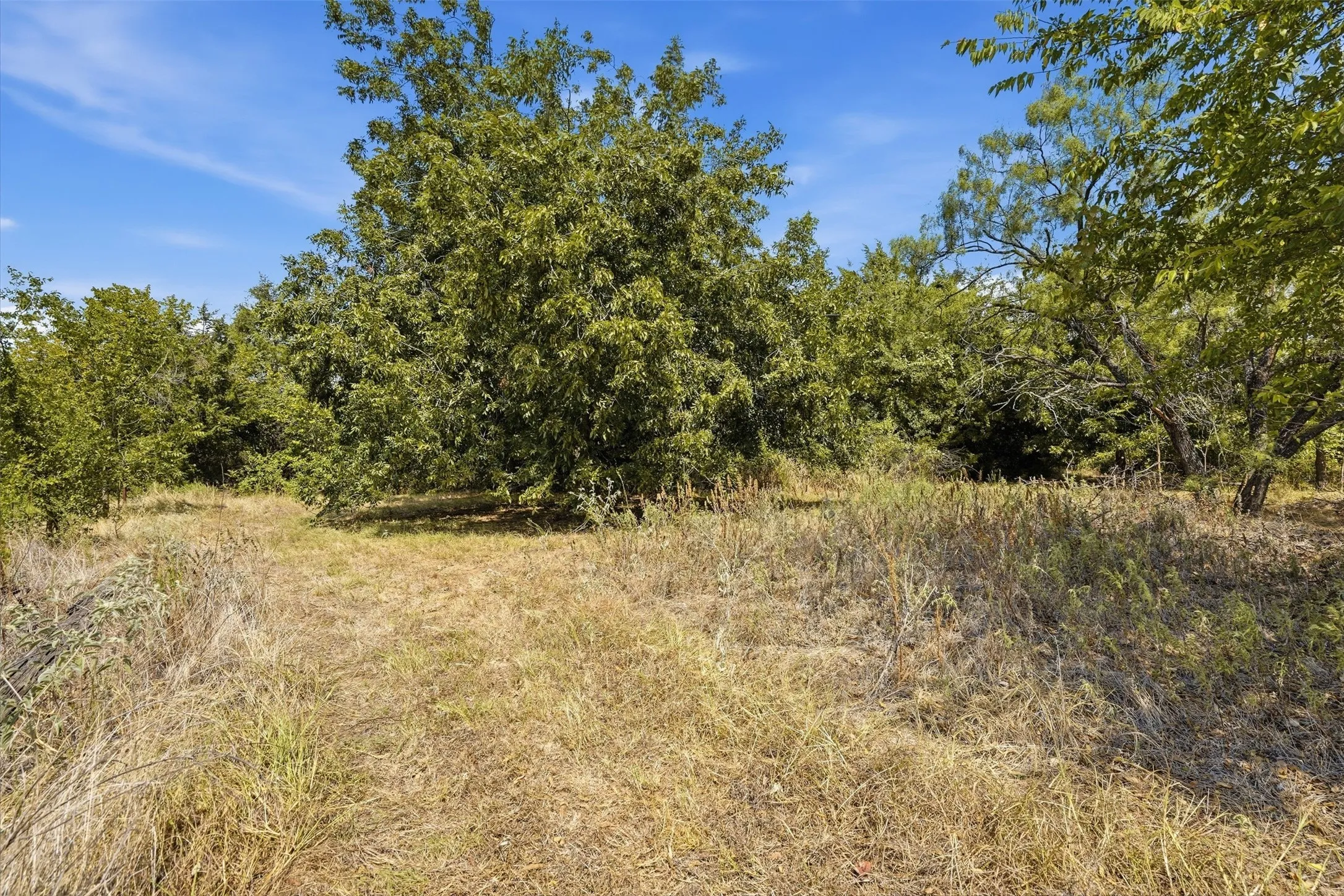Unimproved Land For Sale in Parker County , 3703 Holbrook Road, Springtown, Texas 76082, 0, 0, Garage spaces, 0 Sqft, built in 0, mls#21398135, Real Estate Agent in Springtown, Homes For Sale in Parker county, Homes For Sale in Springtown, Realtor in Springtown Texas, Real Estate Brokerage Independent Realty Texas, Luminita Cordes Realtor