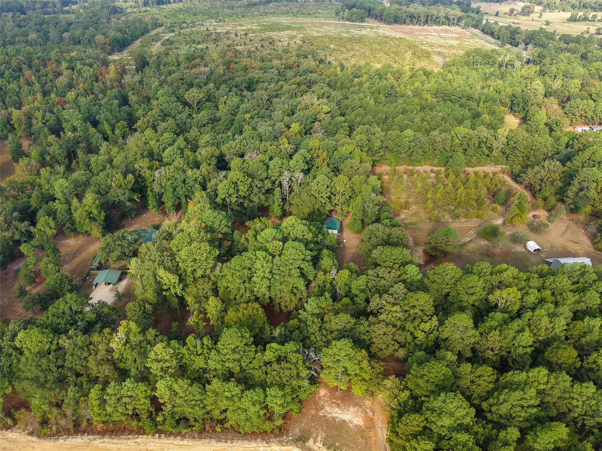 Single Family Residence For Sale in Cass County , 1875 County Road 1577, Hughes Springs, Texas 75656, 2 Bedroom, 2 Bathroom, 3 Garage spaces, 2,170 Sqft, built in 1980, mls#21398134, Real Estate Agent in Hughes Springs, Homes For Sale in Cass county, Homes For Sale in Hughes Springs, Realtor in Hughes Springs Texas, Real Estate Brokerage Independent Realty Texas, Luminita Cordes Realtor