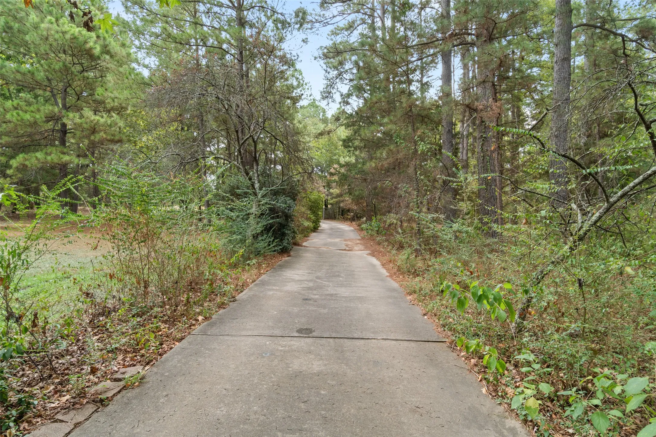 Single Family Residence For Sale in Cass County , 1875 County Road 1577, Hughes Springs, Texas 75656, 2 Bedroom, 2 Bathroom, 3 Garage spaces, 2,170 Sqft, built in 1980, mls#21398134, Real Estate Agent in Hughes Springs, Homes For Sale in Cass county, Homes For Sale in Hughes Springs, Realtor in Hughes Springs Texas, Real Estate Brokerage Independent Realty Texas, Luminita Cordes Realtor