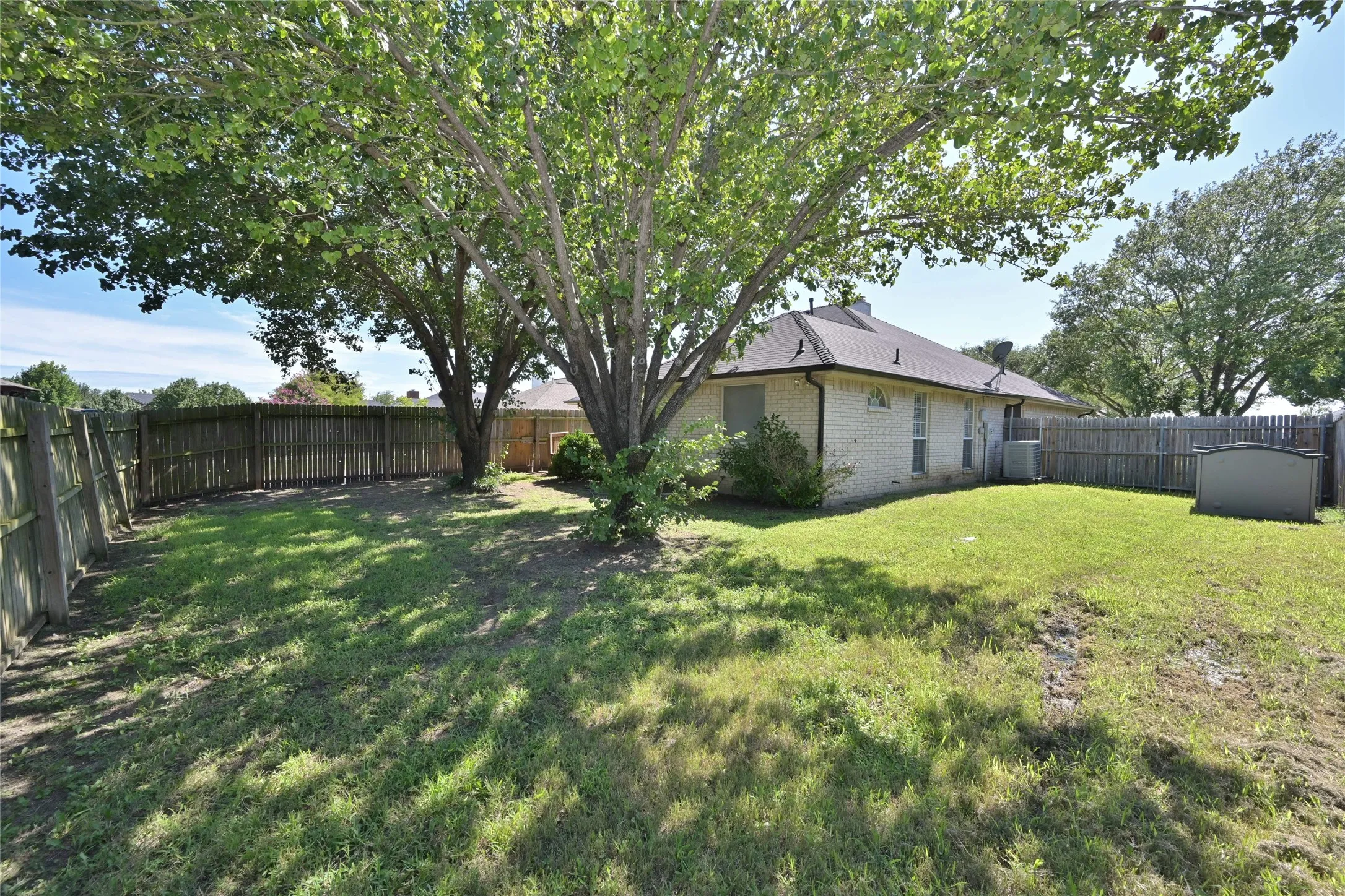 Fenced backyard