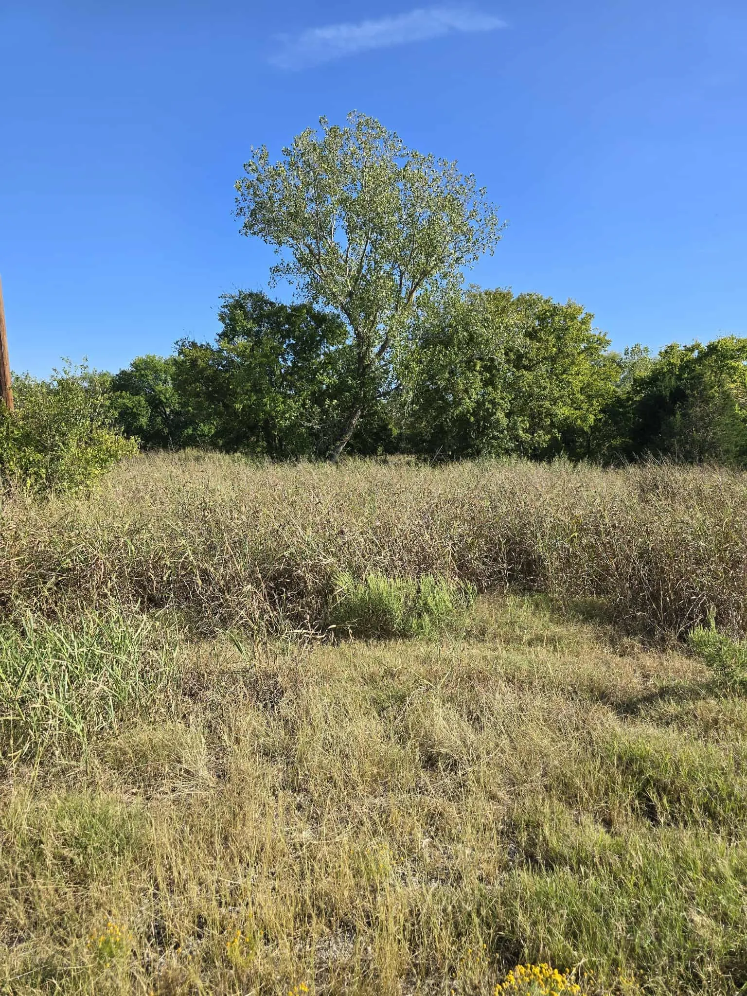 Warehouse For Sale in Kaufman County , 5297 W Highway 175, Kaufman, Texas 75142, 0, 0, Garage spaces, 0 Sqft, built in 1991, mls#21398008, Real Estate Agent in Kaufman, Homes For Sale in Kaufman county, Homes For Sale in Kaufman, Realtor in Kaufman Texas, Real Estate Brokerage Independent Realty Texas, Luminita Cordes Realtor