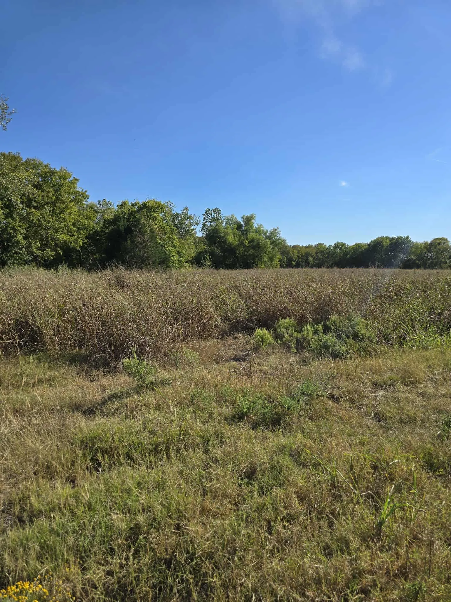 Warehouse For Sale in Kaufman County , 5297 W Highway 175, Kaufman, Texas 75142, 0, 0, Garage spaces, 0 Sqft, built in 1991, mls#21398008, Real Estate Agent in Kaufman, Homes For Sale in Kaufman county, Homes For Sale in Kaufman, Realtor in Kaufman Texas, Real Estate Brokerage Independent Realty Texas, Luminita Cordes Realtor
