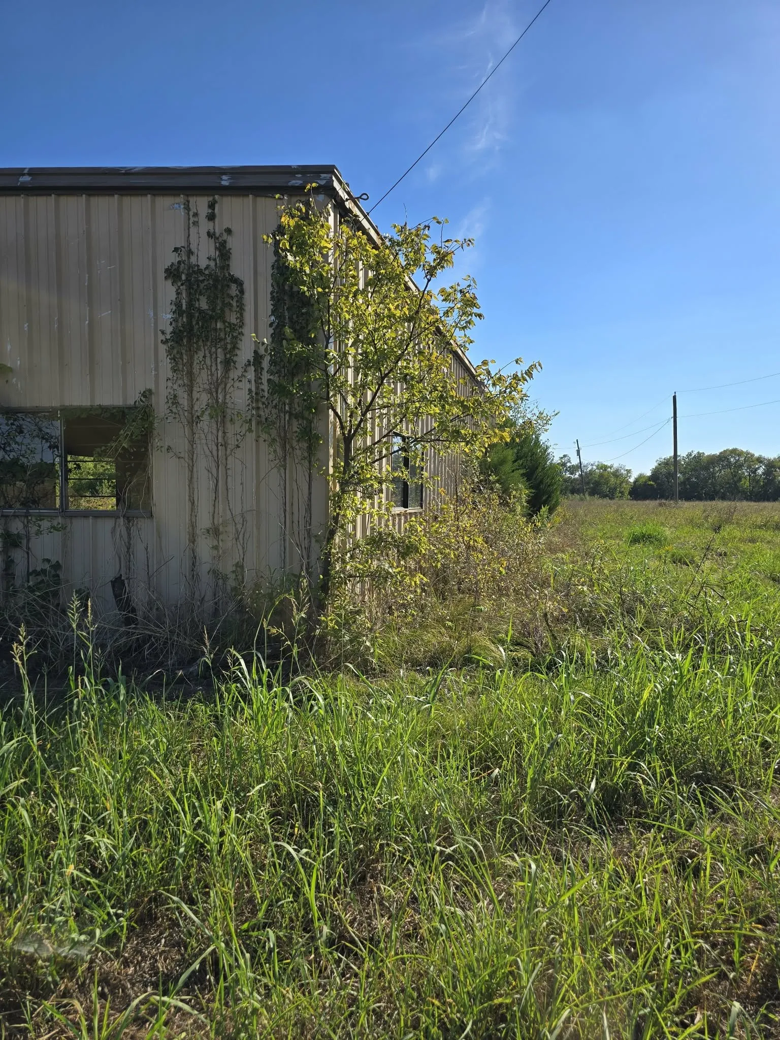 Warehouse For Sale in Kaufman County , 5297 W Highway 175, Kaufman, Texas 75142, 0, 0, Garage spaces, 0 Sqft, built in 1991, mls#21398008, Real Estate Agent in Kaufman, Homes For Sale in Kaufman county, Homes For Sale in Kaufman, Realtor in Kaufman Texas, Real Estate Brokerage Independent Realty Texas, Luminita Cordes Realtor
