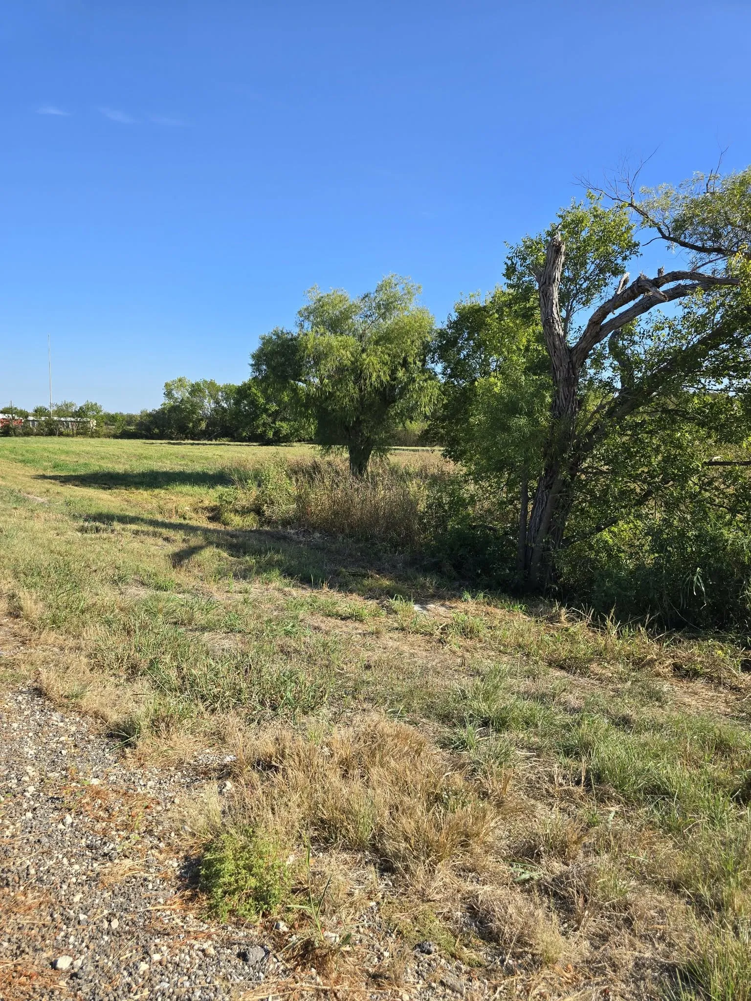 Warehouse For Sale in Kaufman County , 5297 W Highway 175, Kaufman, Texas 75142, 0, 0, Garage spaces, 0 Sqft, built in 1991, mls#21398008, Real Estate Agent in Kaufman, Homes For Sale in Kaufman county, Homes For Sale in Kaufman, Realtor in Kaufman Texas, Real Estate Brokerage Independent Realty Texas, Luminita Cordes Realtor