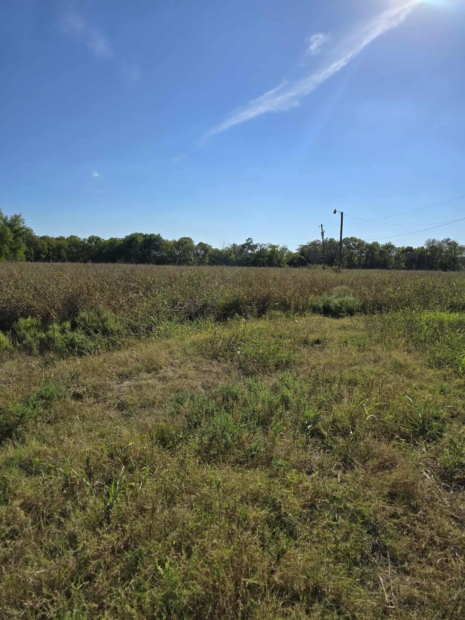Warehouse For Sale in Kaufman County , 5297 W Highway 175, Kaufman, Texas 75142, 0, 0, Garage spaces, 0 Sqft, built in 1991, mls#21398008, Real Estate Agent in Kaufman, Homes For Sale in Kaufman county, Homes For Sale in Kaufman, Realtor in Kaufman Texas, Real Estate Brokerage Independent Realty Texas, Luminita Cordes Realtor