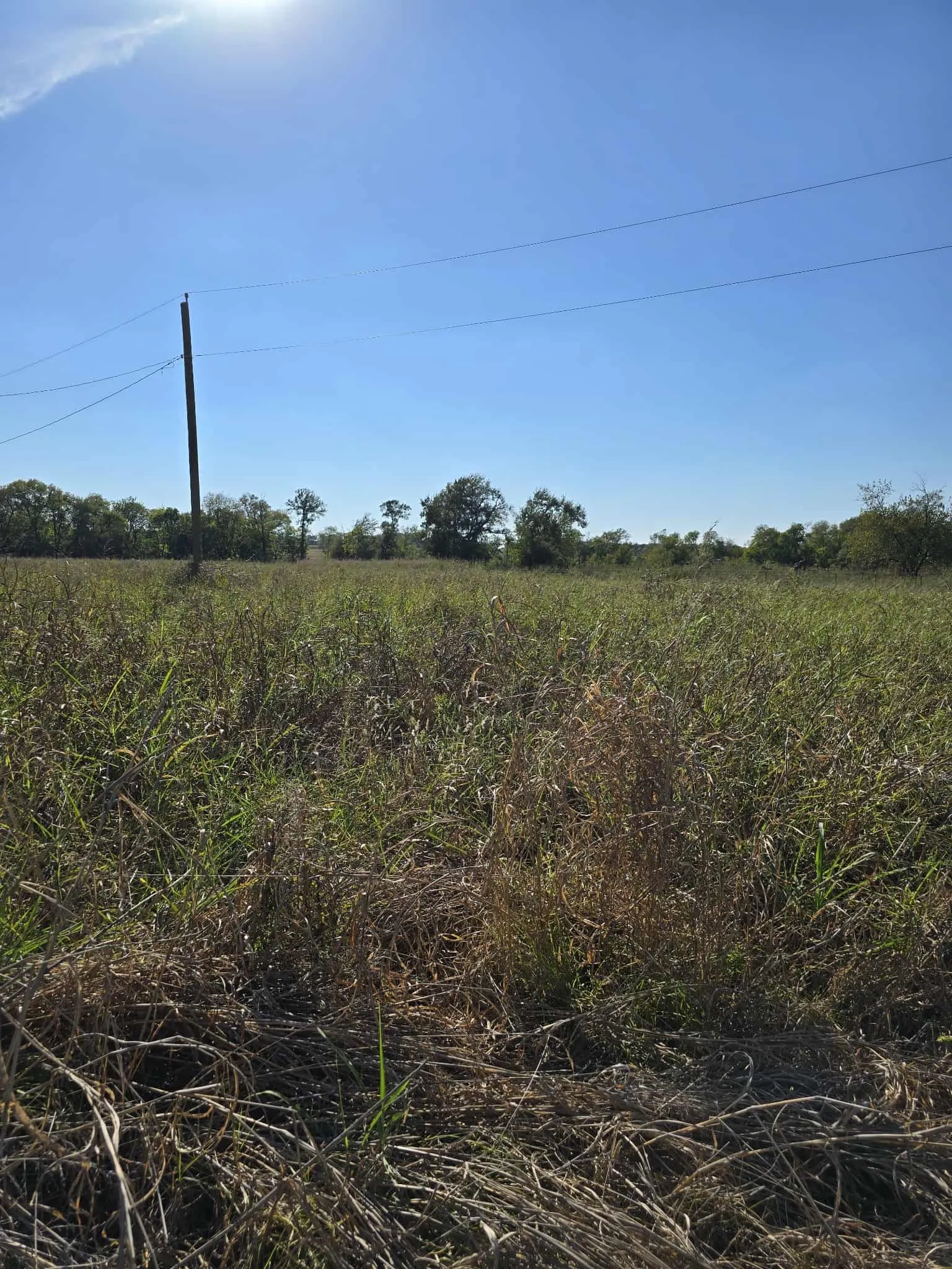 Warehouse For Sale in Kaufman County , 5297 W Highway 175, Kaufman, Texas 75142, 0, 0, Garage spaces, 0 Sqft, built in 1991, mls#21398008, Real Estate Agent in Kaufman, Homes For Sale in Kaufman county, Homes For Sale in Kaufman, Realtor in Kaufman Texas, Real Estate Brokerage Independent Realty Texas, Luminita Cordes Realtor