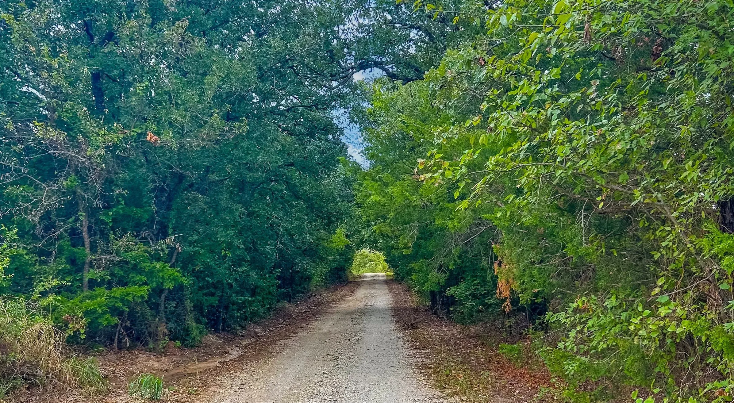 Beautiful treed entry to the property