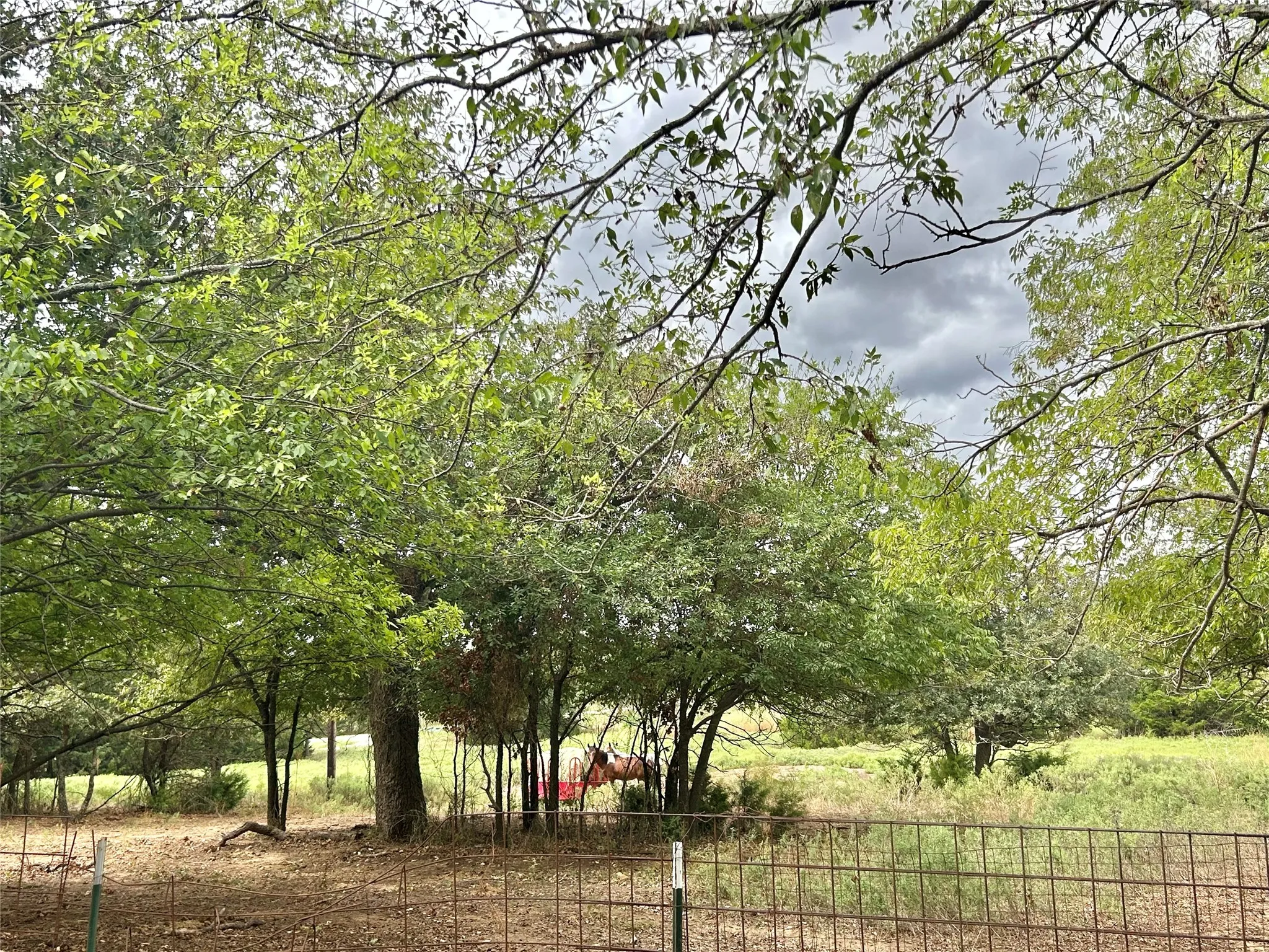 Improved Land For Sale in Cooke County , 3207 Fm 678, Gainesville, Texas 76240, 0, 0, Garage spaces, 0 Sqft, built in 2021, mls#21398255, Real Estate Agent in Gainesville, Homes For Sale in Cooke county, Homes For Sale in Gainesville, Realtor in Gainesville Texas, Real Estate Brokerage Independent Realty Texas, Luminita Cordes Realtor